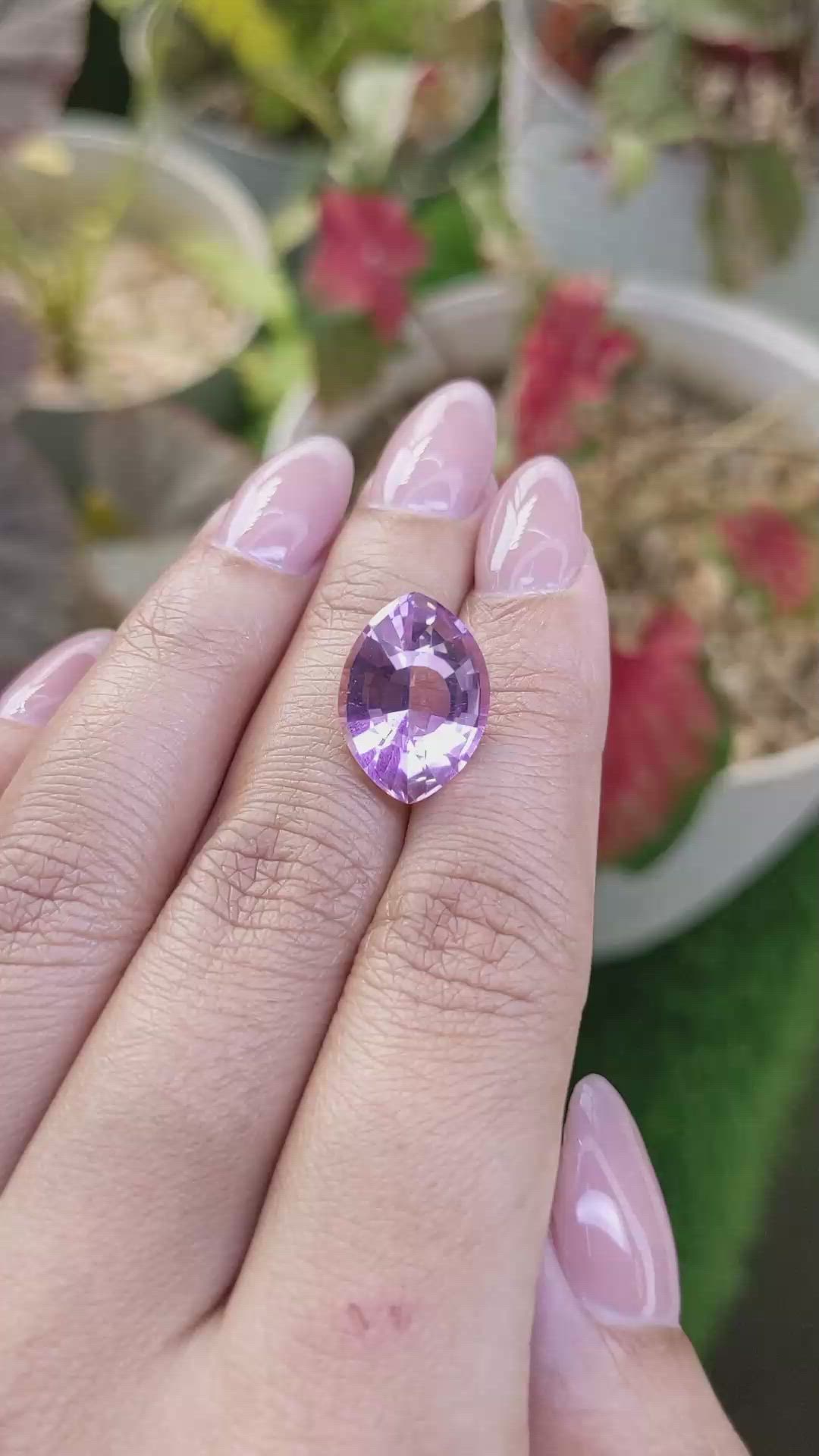 7.50 Ct. Bi Color Ametrine from Madagascar Size Video