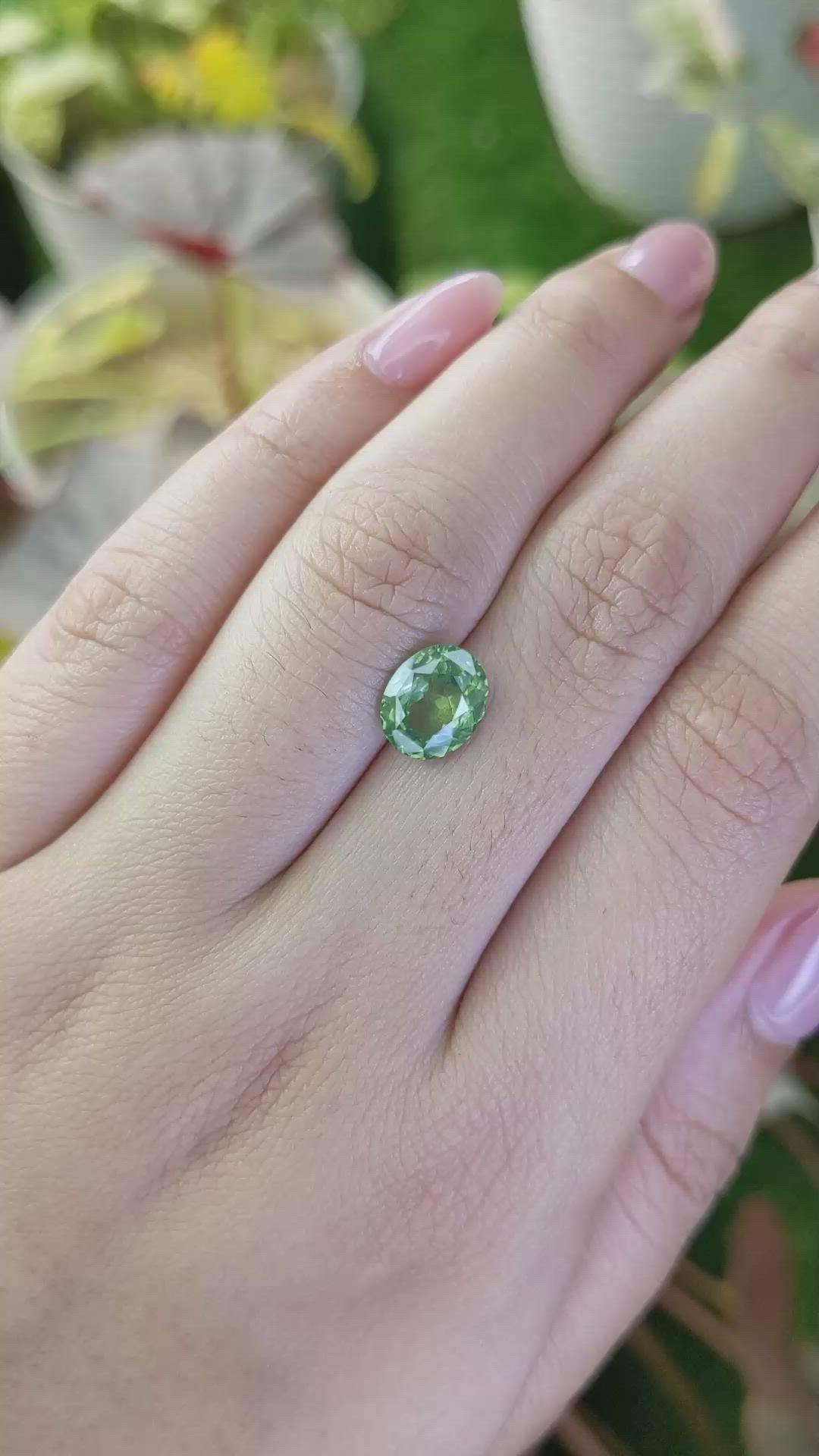 2.60 Ct. Green Zircon from Ceylon (Sri Lanka) Size Video