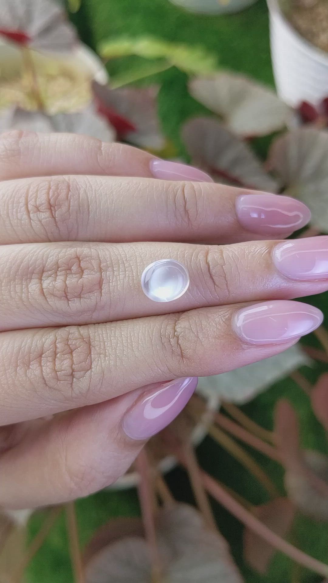 2.08 Ct. White Cabochon Moonstone from Ceylon (Sri Lanka) Size Video