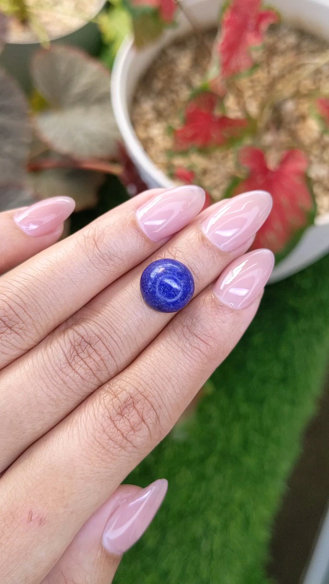 6.80 Ct. Cabochon Lapis from Afghanistan Size Video