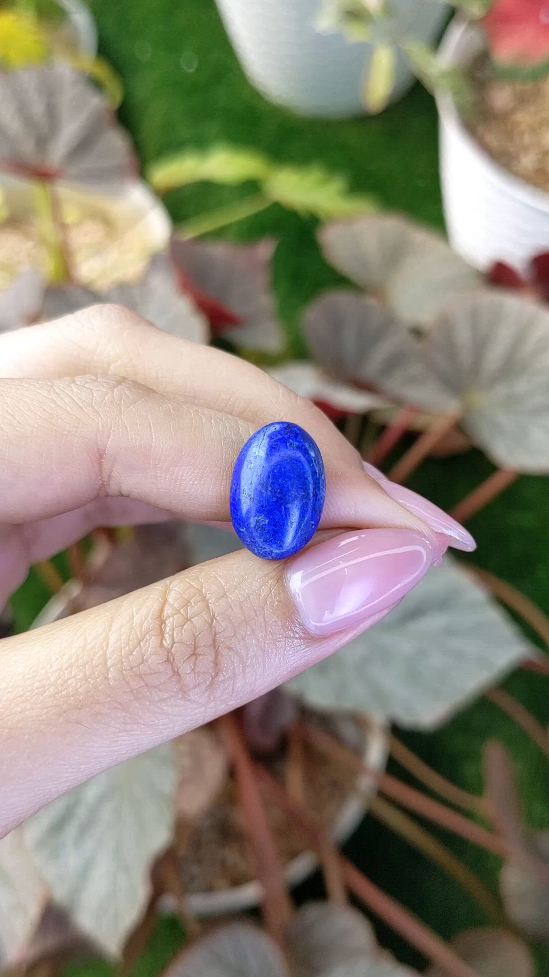 6.26 Ct. Cabochon Lapis from Afghanistan Size Video