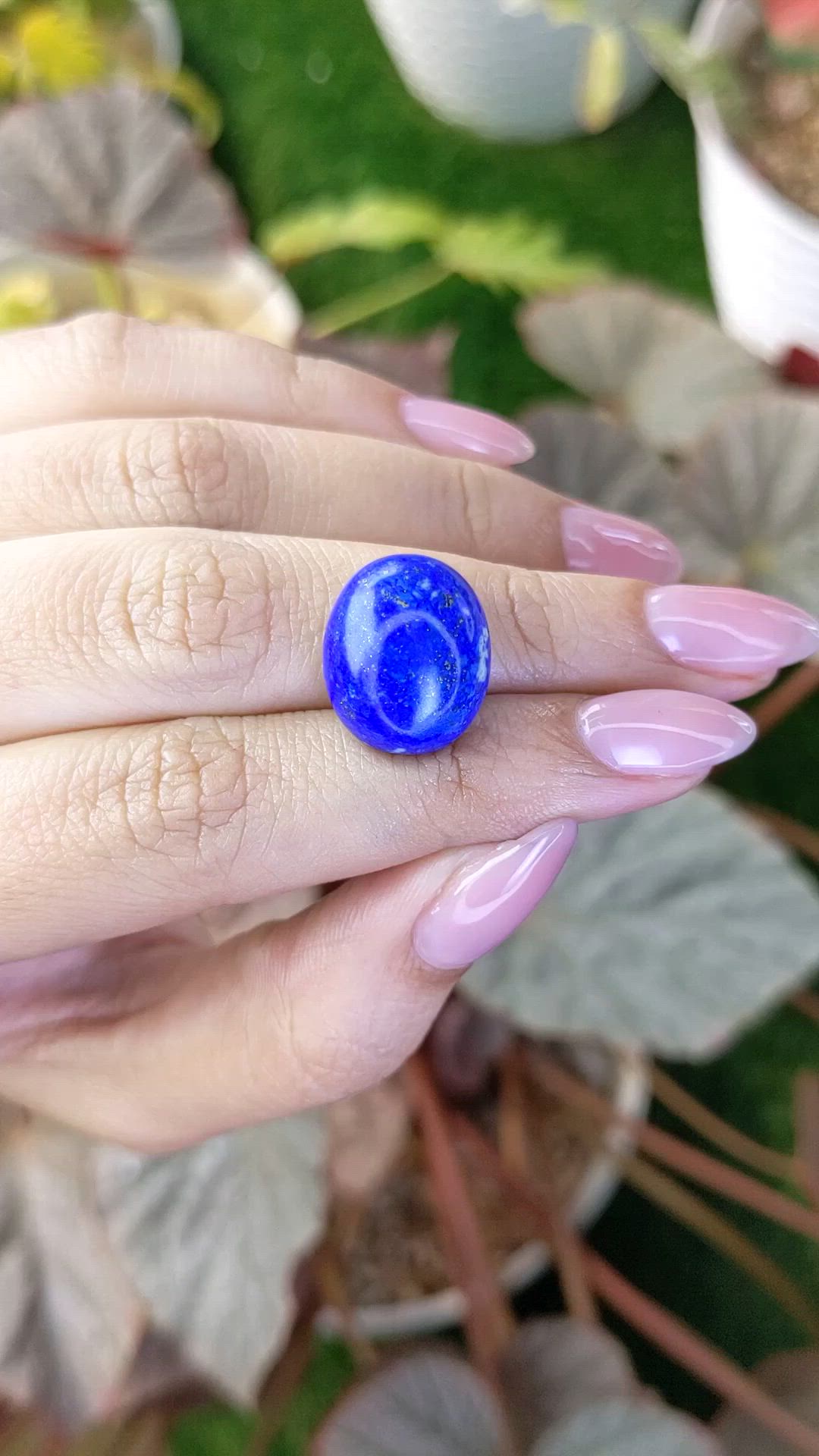 15.64 Ct. Cabochon Lapis from Afghanistan Size Video