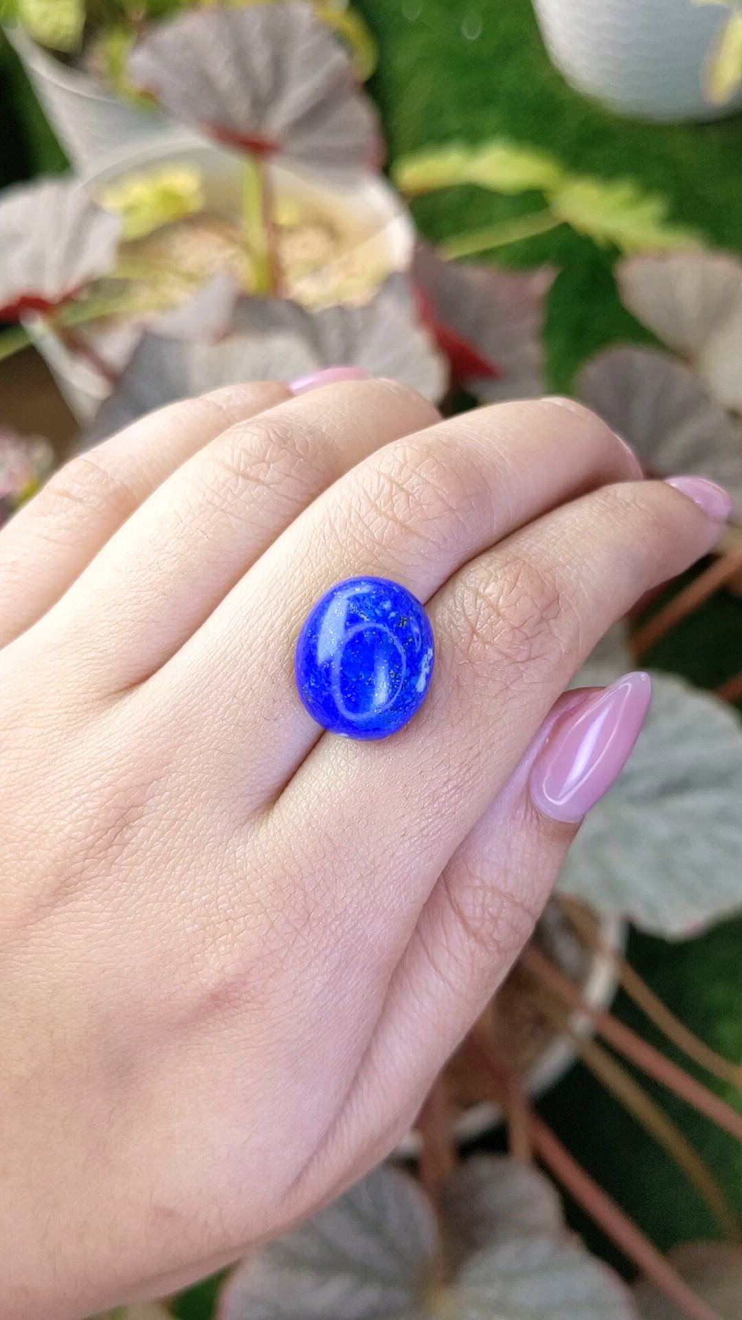15.64 Ct. Cabochon Lapis from Afghanistan Size Video
