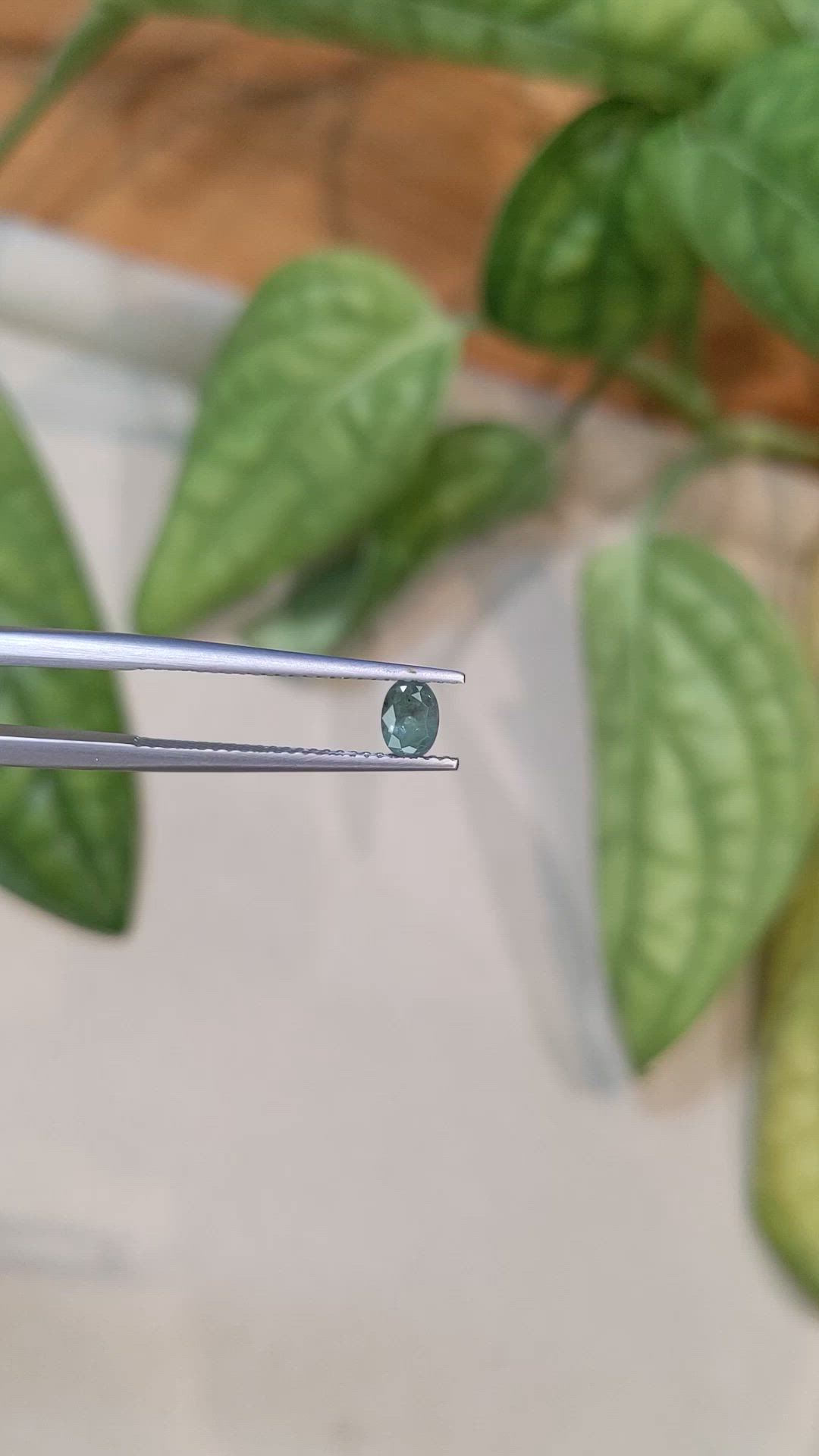 0.45 Ct. Alexandrite from Russia Size Video