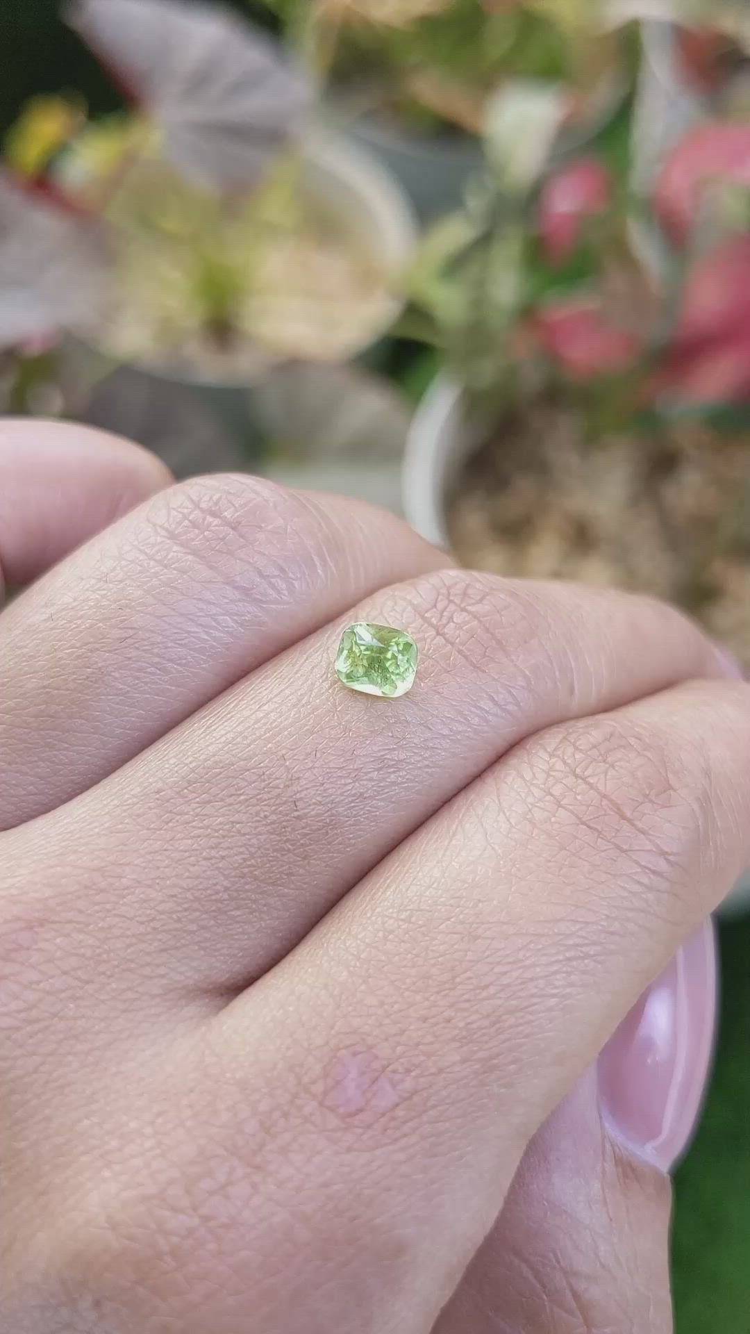 0.65 Ct. Yellowish Green Peridot from Pakistan Size Video