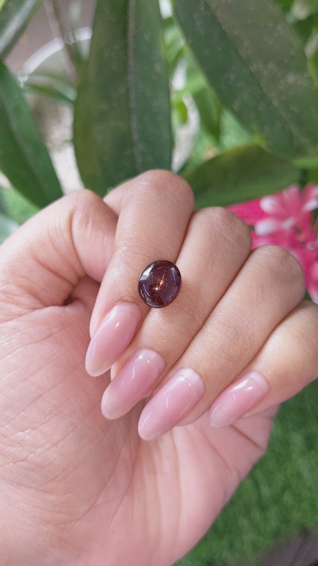 6.17 Ct. Reddish Brown Star Garnet from Ceylon (Sri Lanka) Size Video