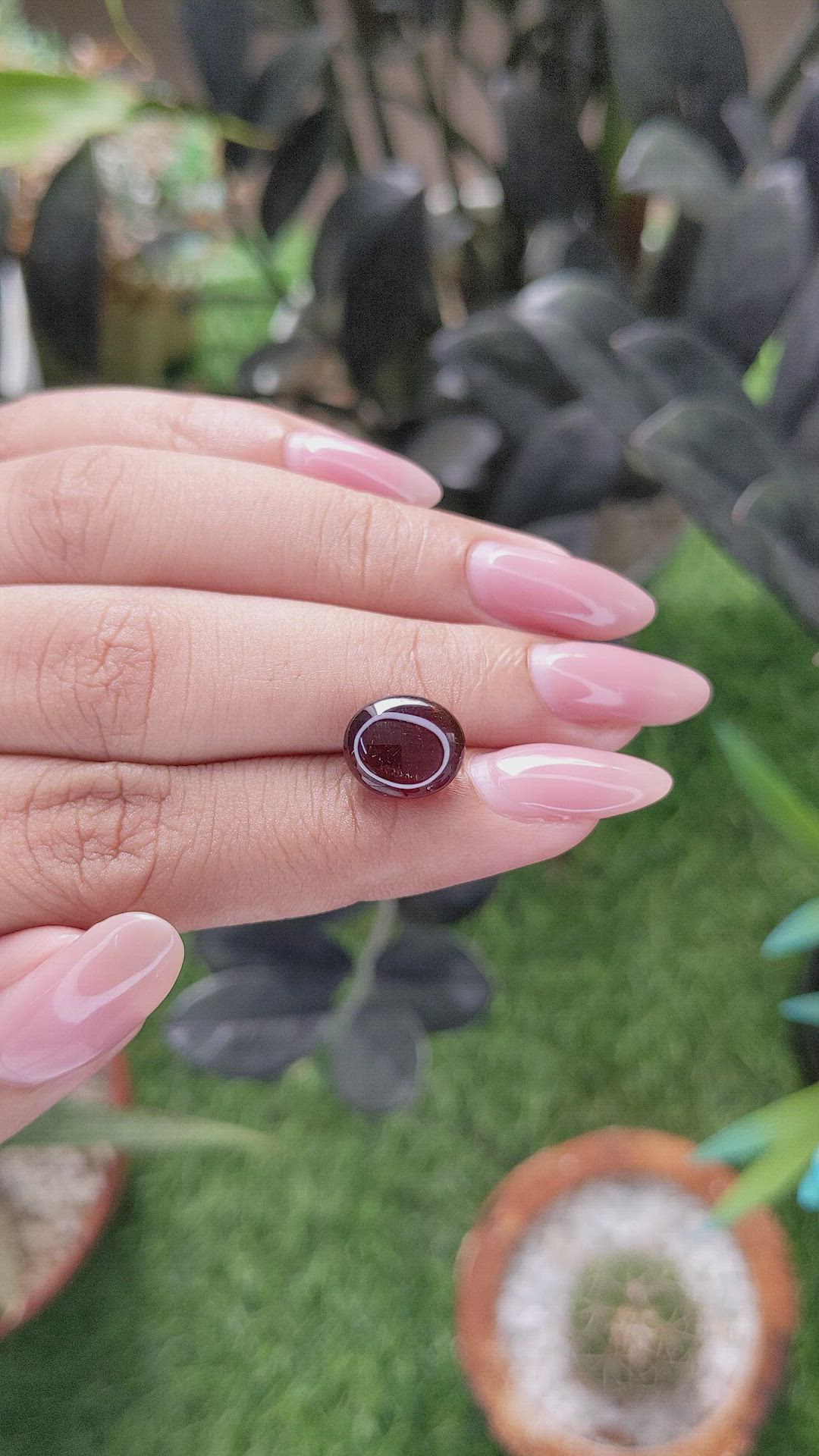6.17 Ct. Reddish Brown Star Garnet from Ceylon (Sri Lanka) Size Video
