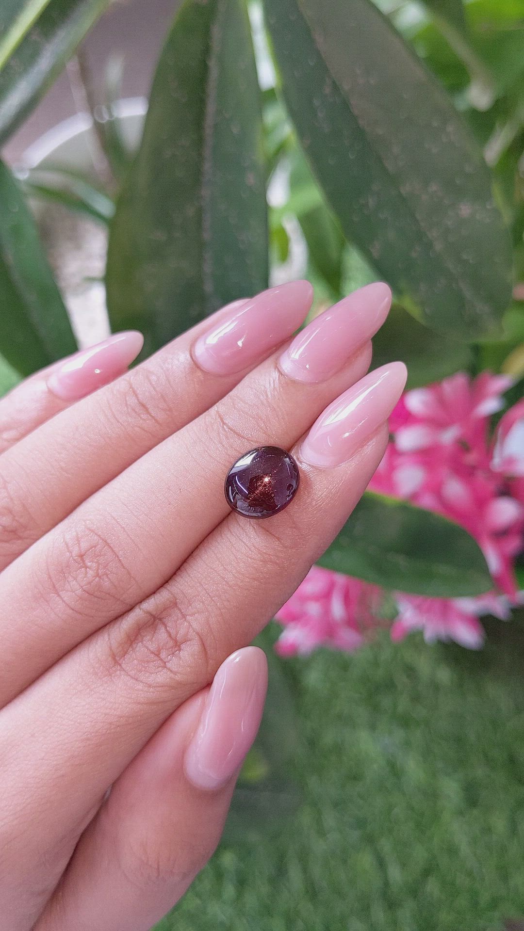 6.17 Ct. Reddish Brown Star Garnet from Ceylon (Sri Lanka) Size Video