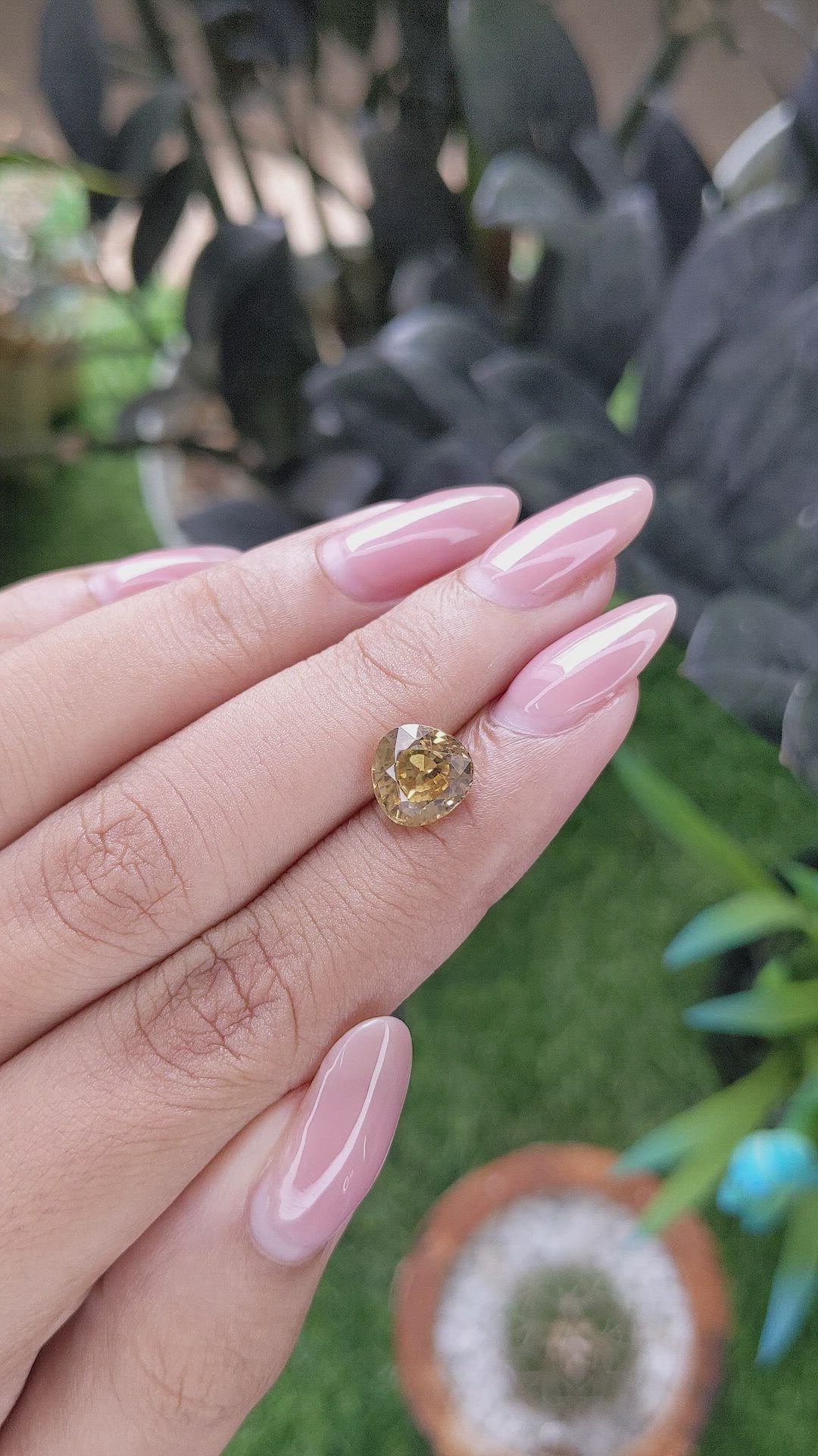 3.36 Ct. Yellowish Brown Zircon from Ceylon (Sri Lanka) Size Video