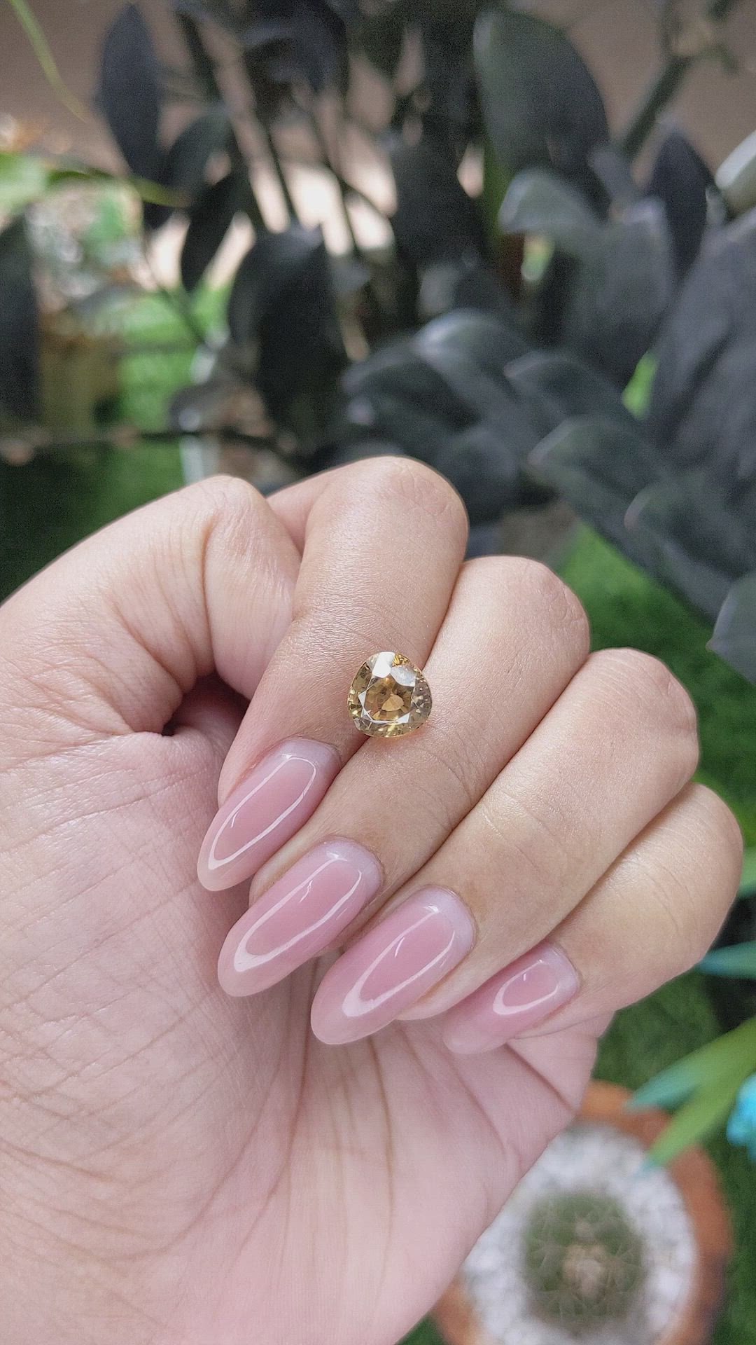 3.36 Ct. Yellowish Brown Zircon from Ceylon (Sri Lanka) Size Video
