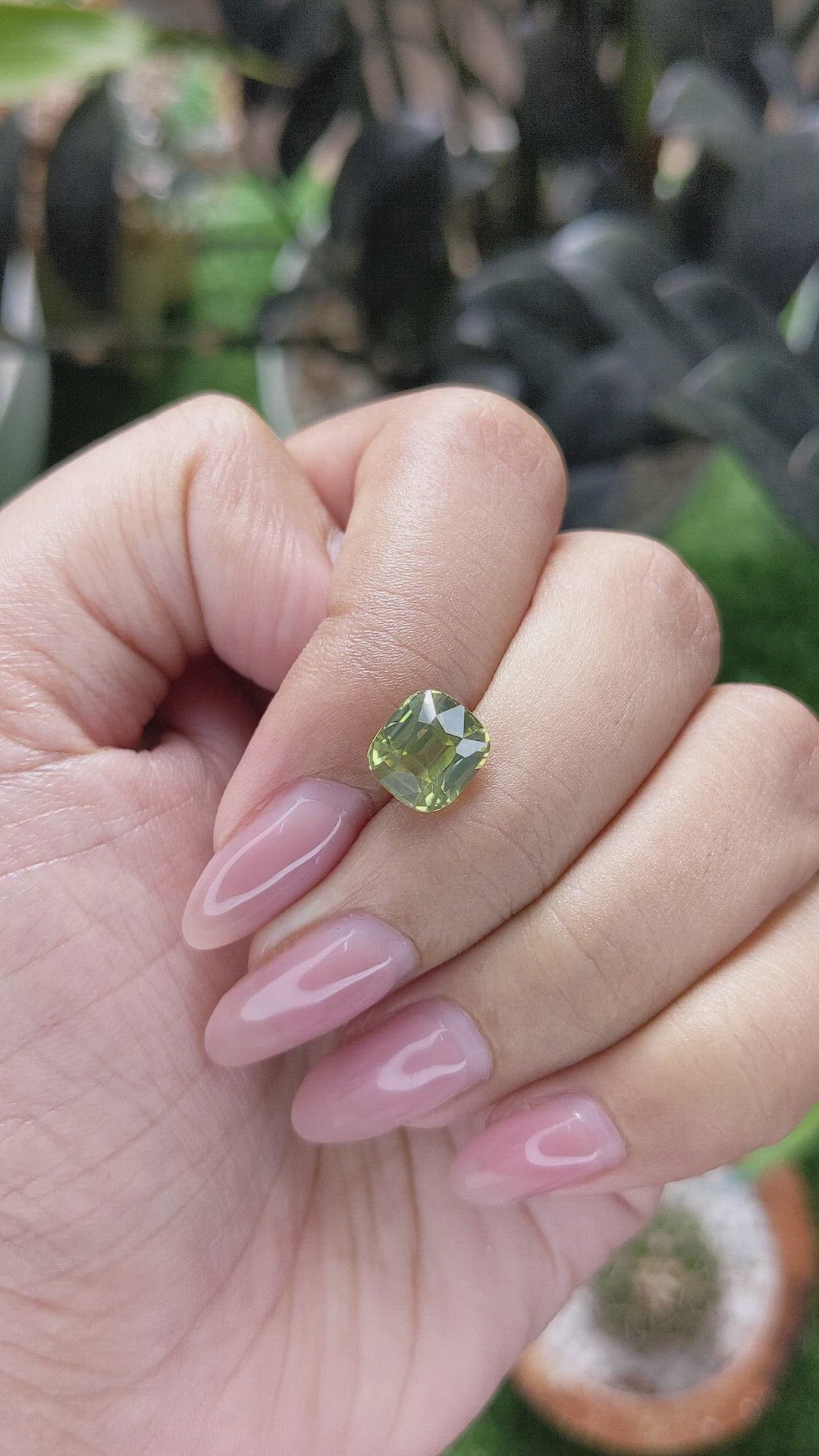 3.44 Ct. Yellowish Green Zircon from Ceylon (Sri Lanka) Size Video