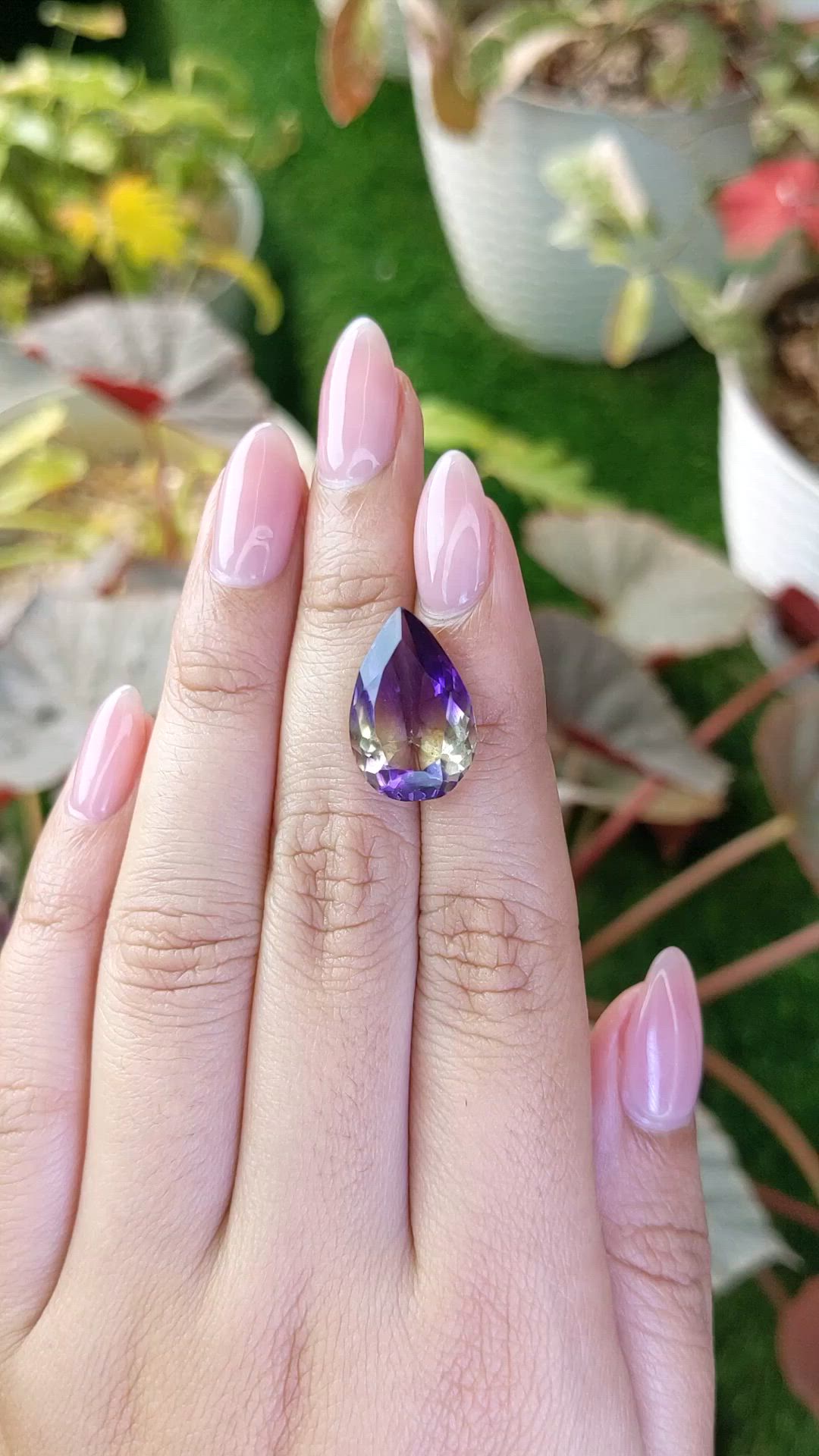 8.59 Ct. Bi Color Ametrine from Brazil Size Video
