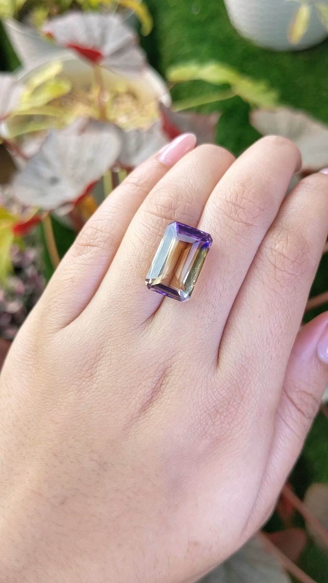 13.26 Ct. Bi Color Ametrine from Brazil Size Video