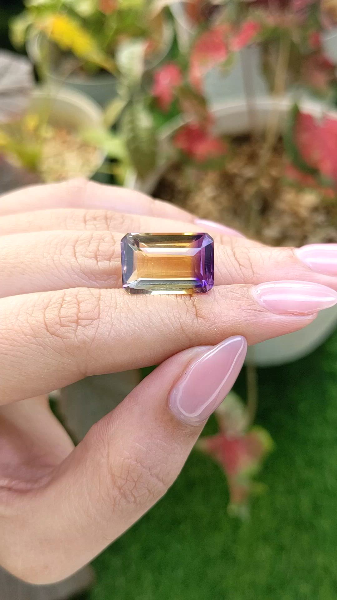 13.26 Ct. Bi Color Ametrine from Brazil Size Video