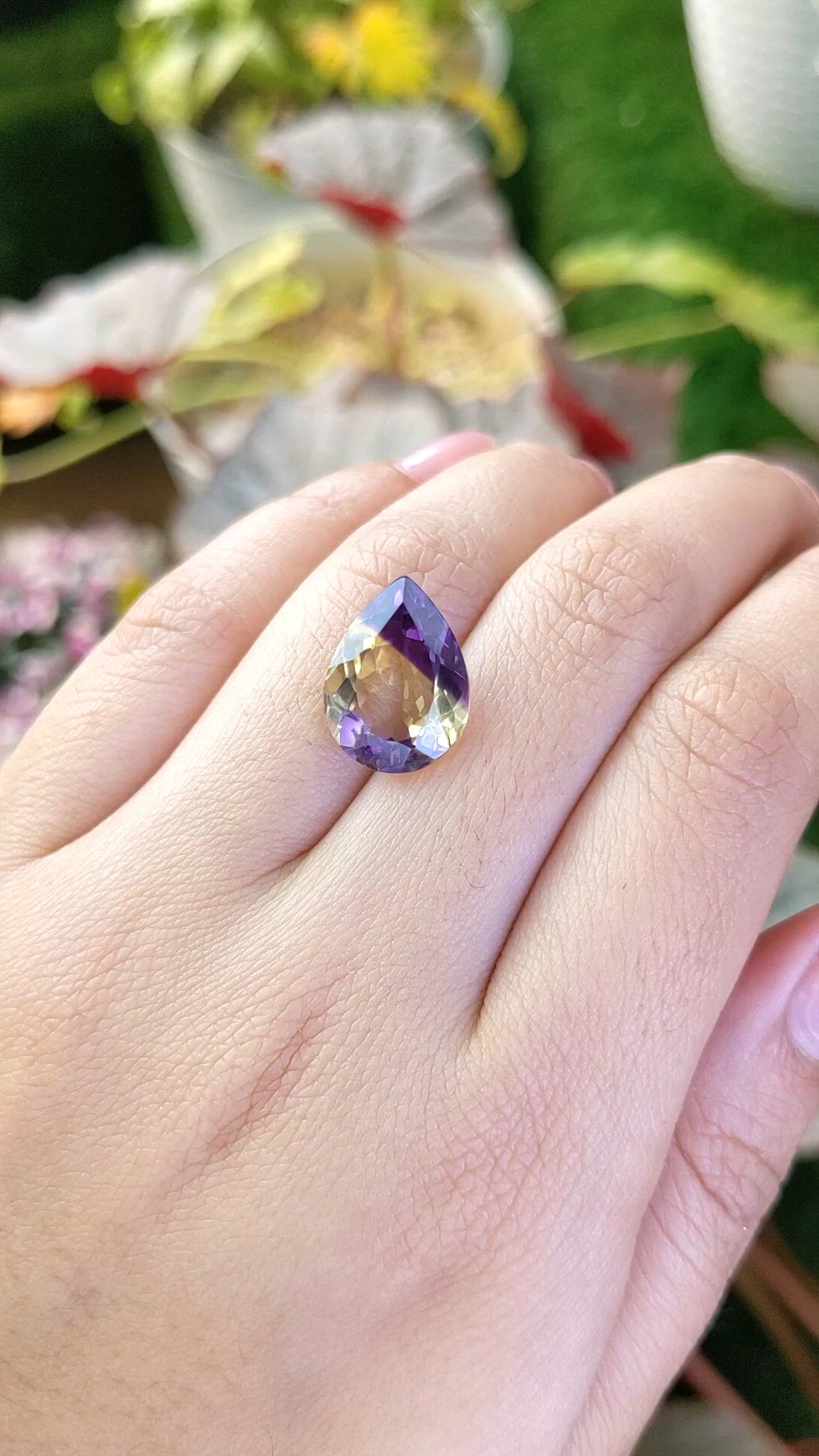 7.30 Ct. Bi Color Ametrine from Brazil Size Video