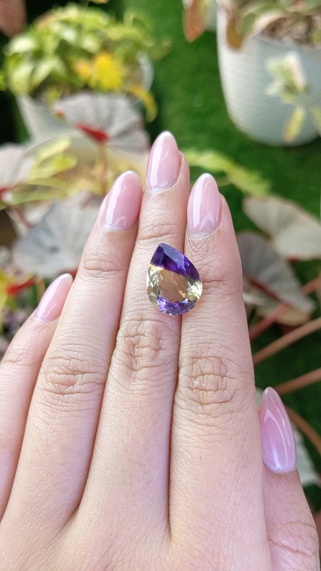 7.30 Ct. Bi Color Ametrine from Brazil Size Video