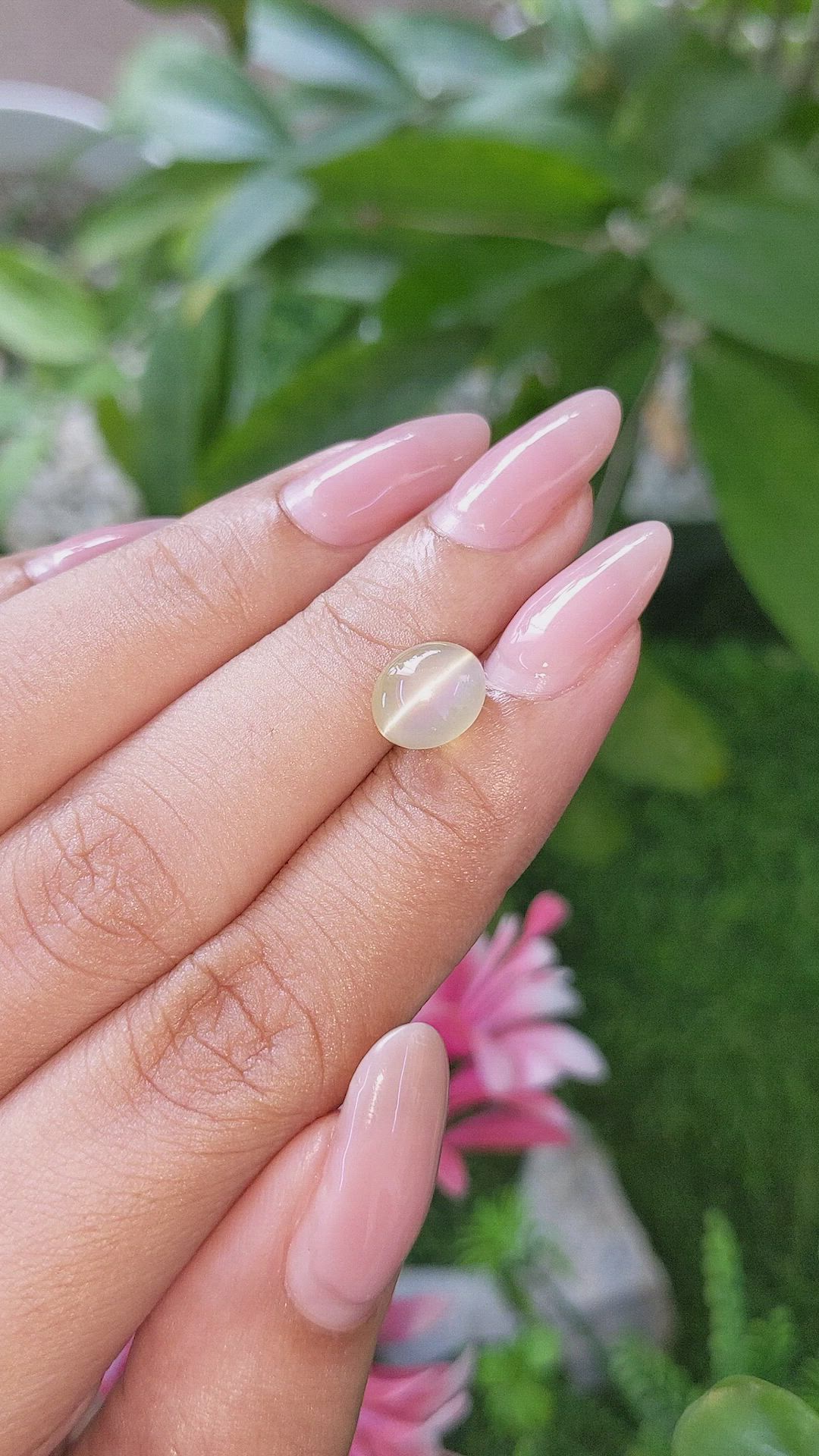 3.71 Ct. Yellowish Green Cabochon Chrysoberyl from Tanzania Size Video