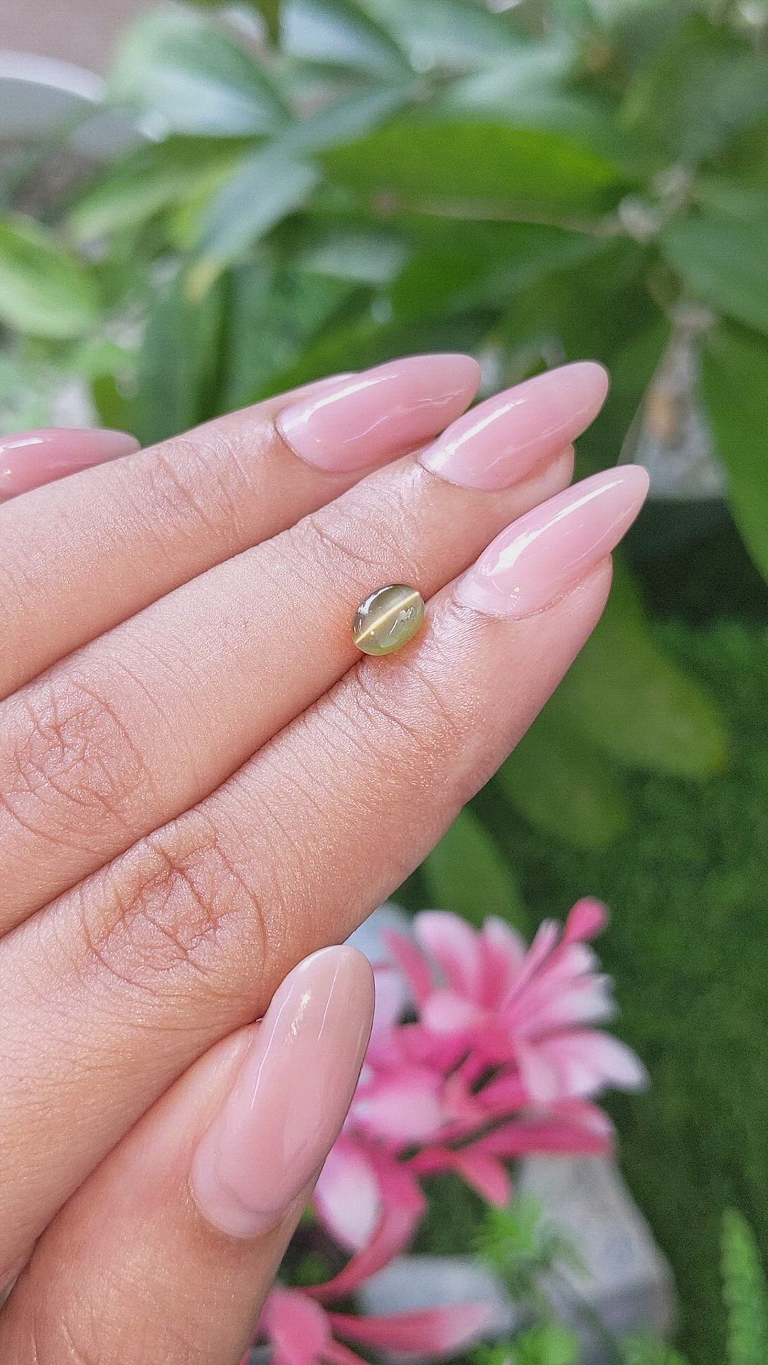 1.14 Ct. Yellowish Green Cabochon Chrysoberyl from Tanzania Size Video