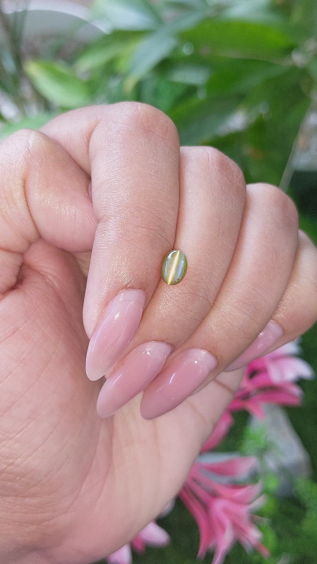 1.14 Ct. Yellowish Green Cabochon Chrysoberyl from Tanzania Size Video