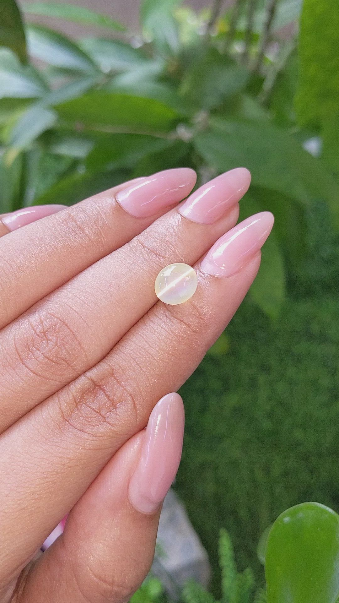 3.62 Ct. Greenish Yellow Cabochon Chrysoberyl from Tanzania Size Video