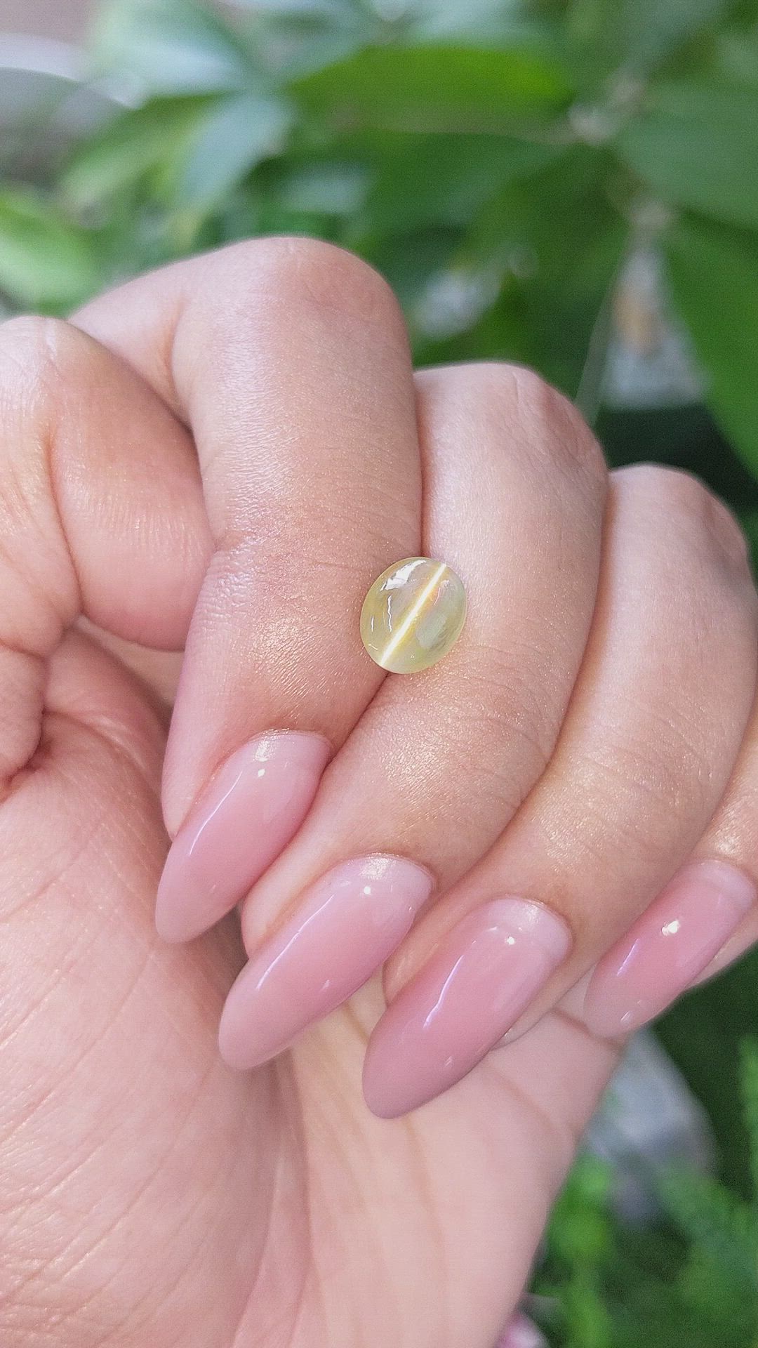 2.55 Ct. Yellowish Green Cabochon Chrysoberyl from Tanzania Size Video