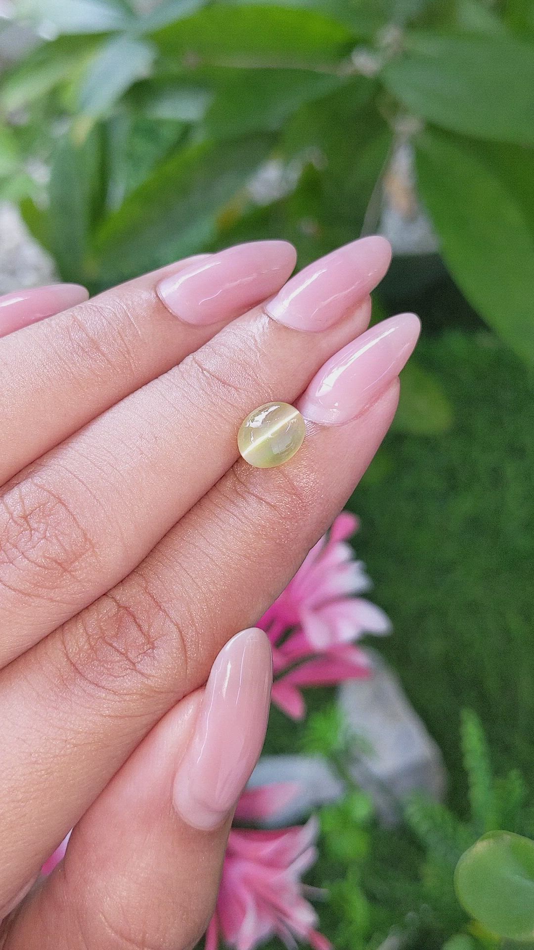 2.55 Ct. Yellowish Green Cabochon Chrysoberyl from Tanzania Size Video