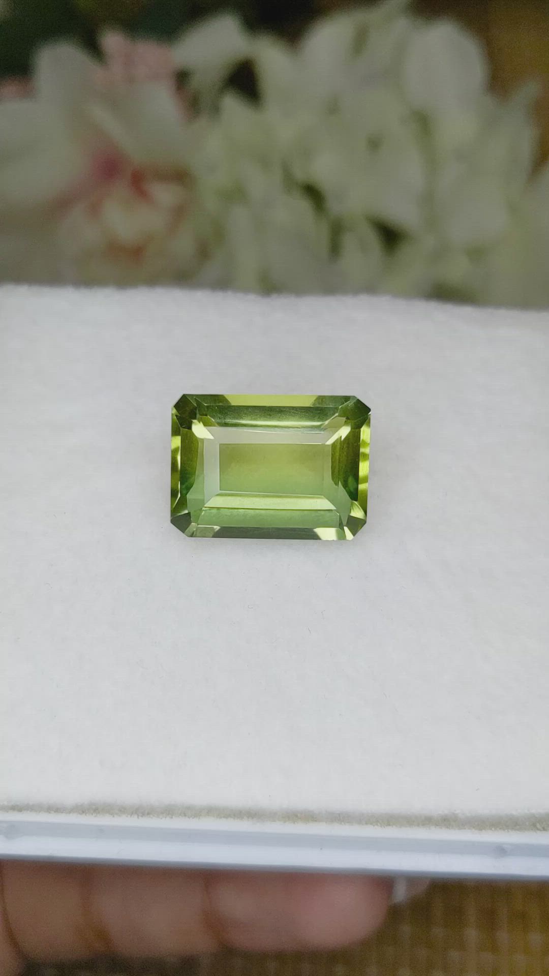 16.57 Ct. Yellowish Green Prasiolite from Brazil Size Video