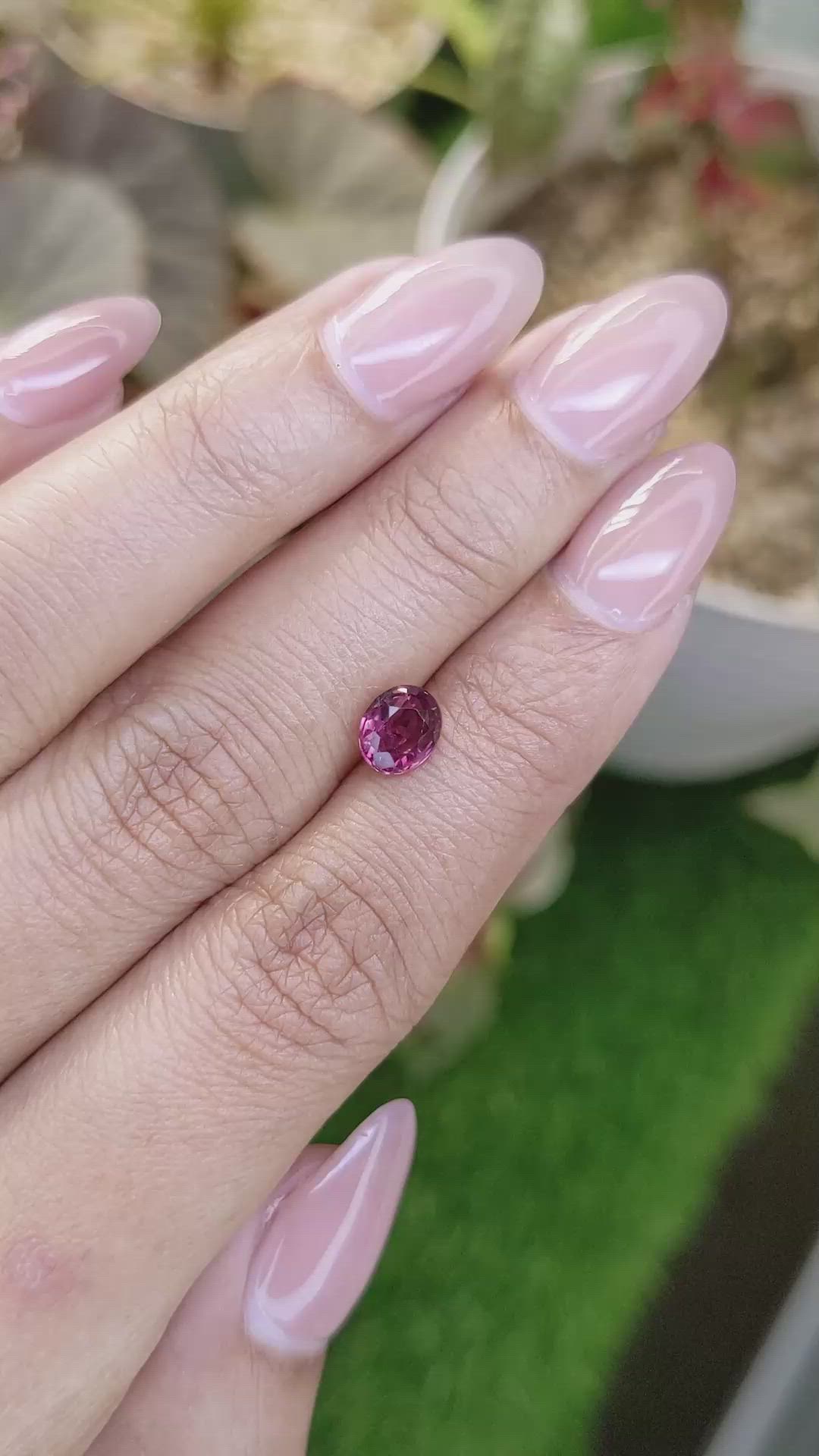 1.13 Ct. Purplish Pink Rhodolite Garnet from Ceylon (Sri Lanka) Size Video