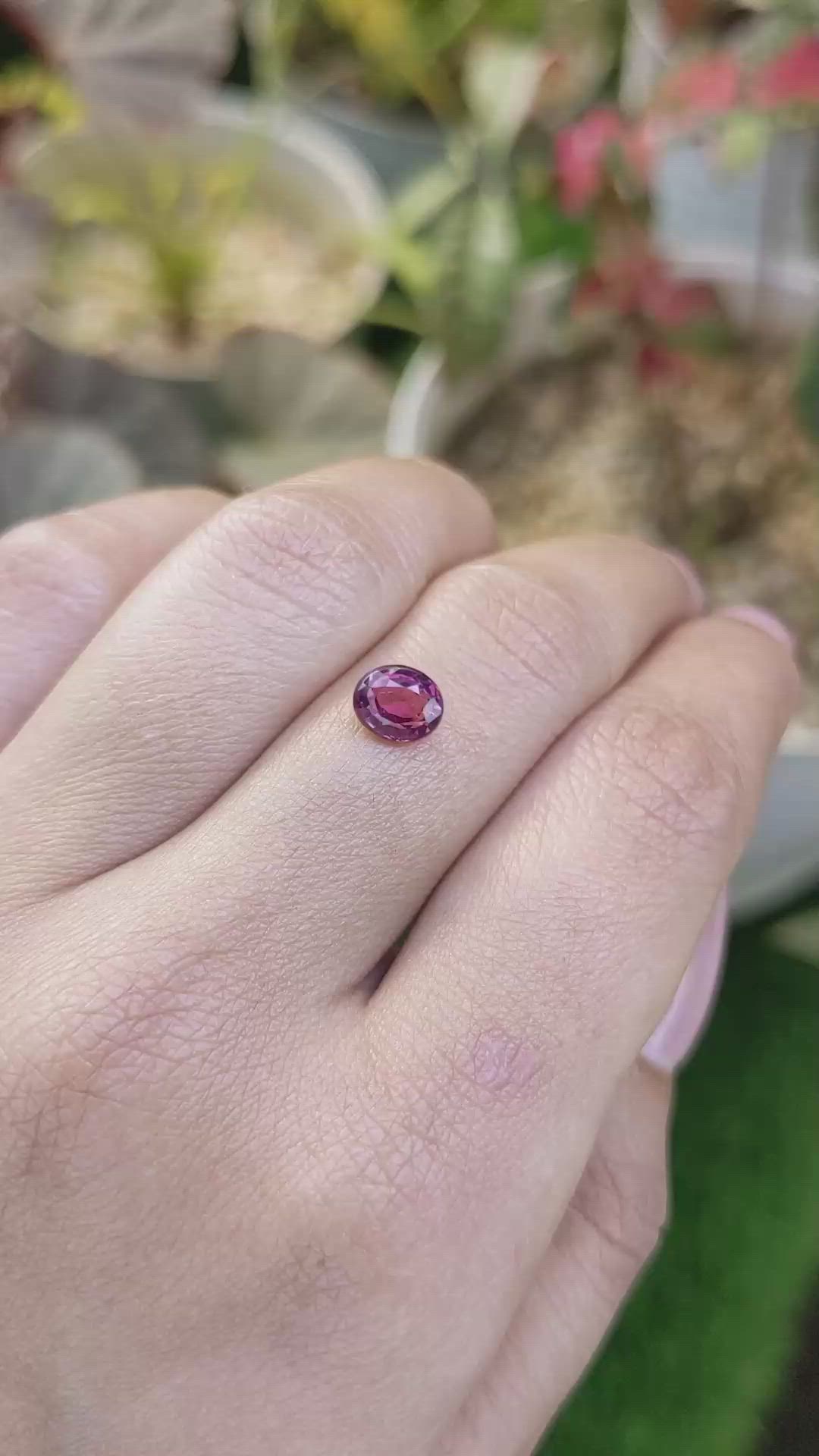 1.13 Ct. Purplish Pink Rhodolite Garnet from Ceylon (Sri Lanka) Size Video