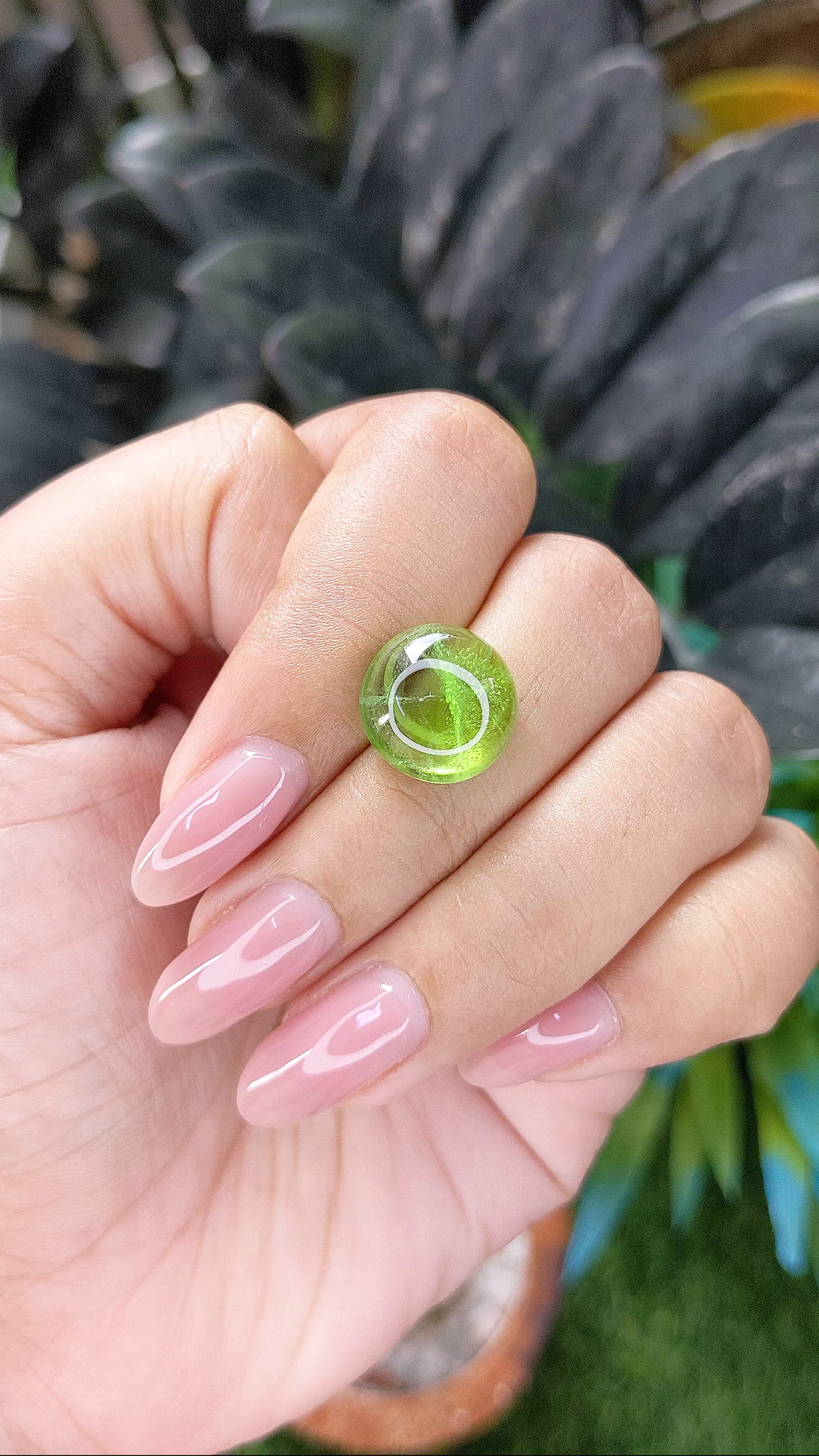 9.12 Ct. Green (Lime Green) Cabochon Peridot from Pakistan Size Video
