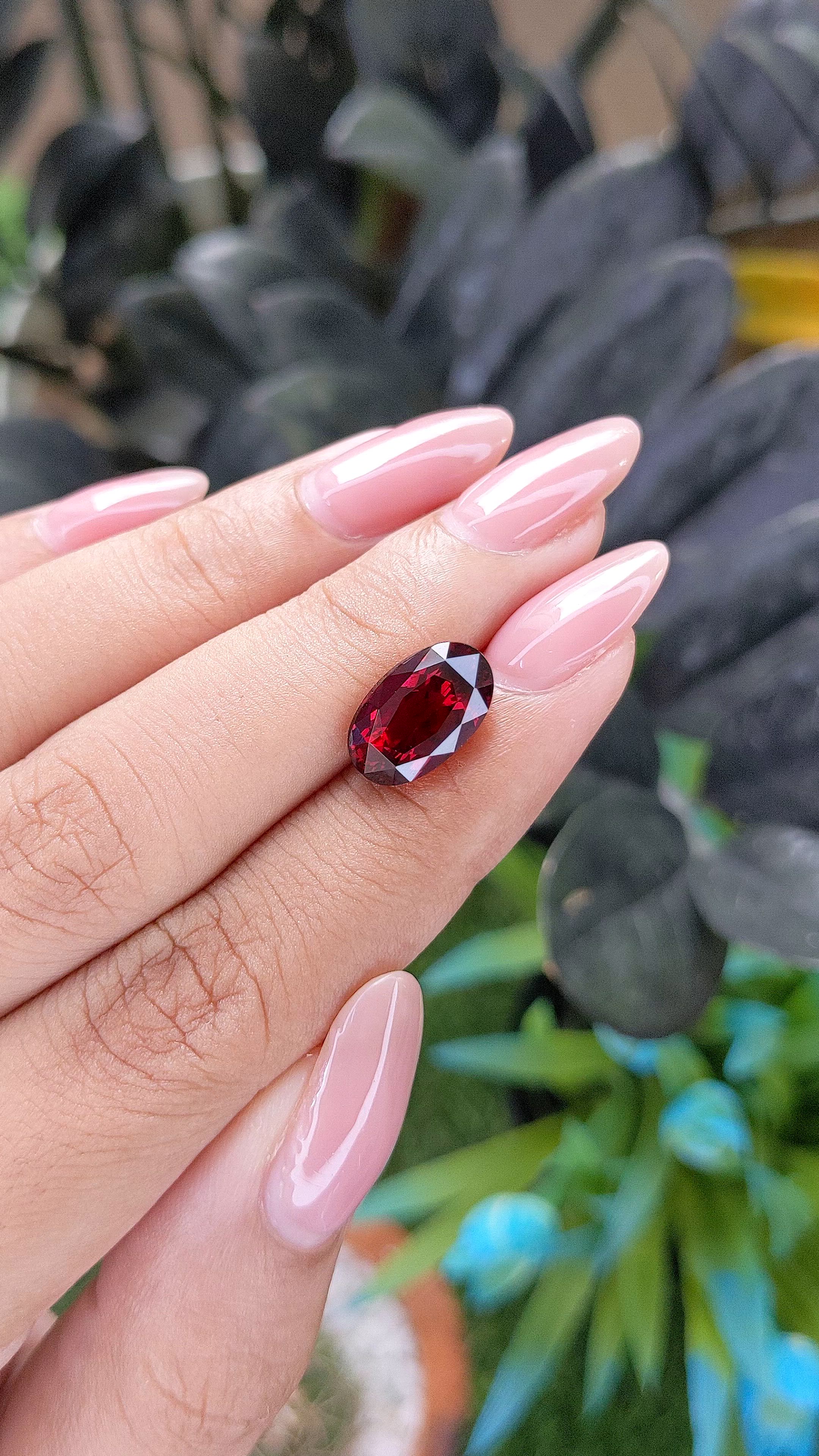 4.66 Ct. Red Garnet from South Africa Size Video