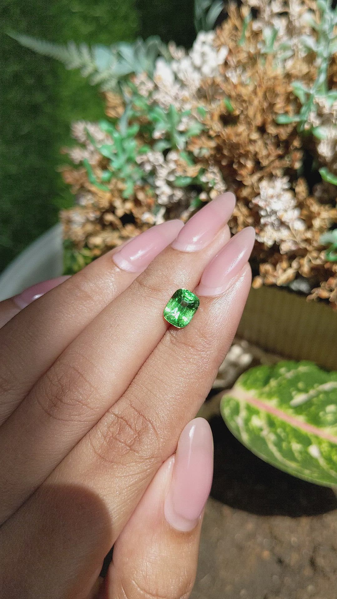 1.66 Ct. Tsavorite Garnet from Tanzania Size Video