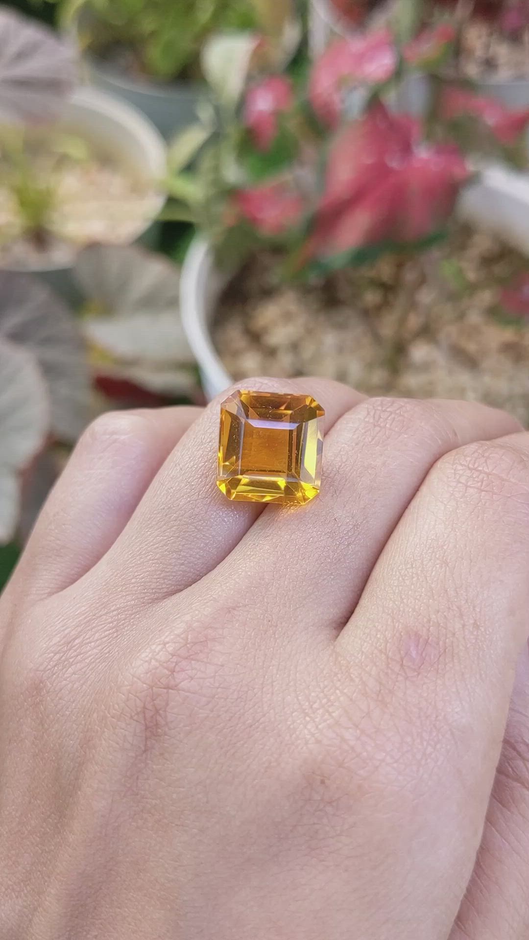 11.20 Ct. Yellowish Orange Citrine from Ceylon (Sri Lanka) Size Video