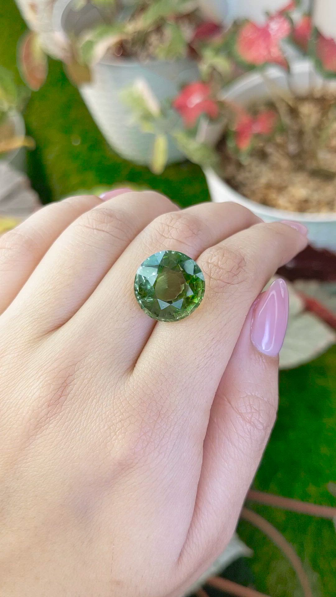 15.10 Ct. Green Prasiolite from Brazil Size Video