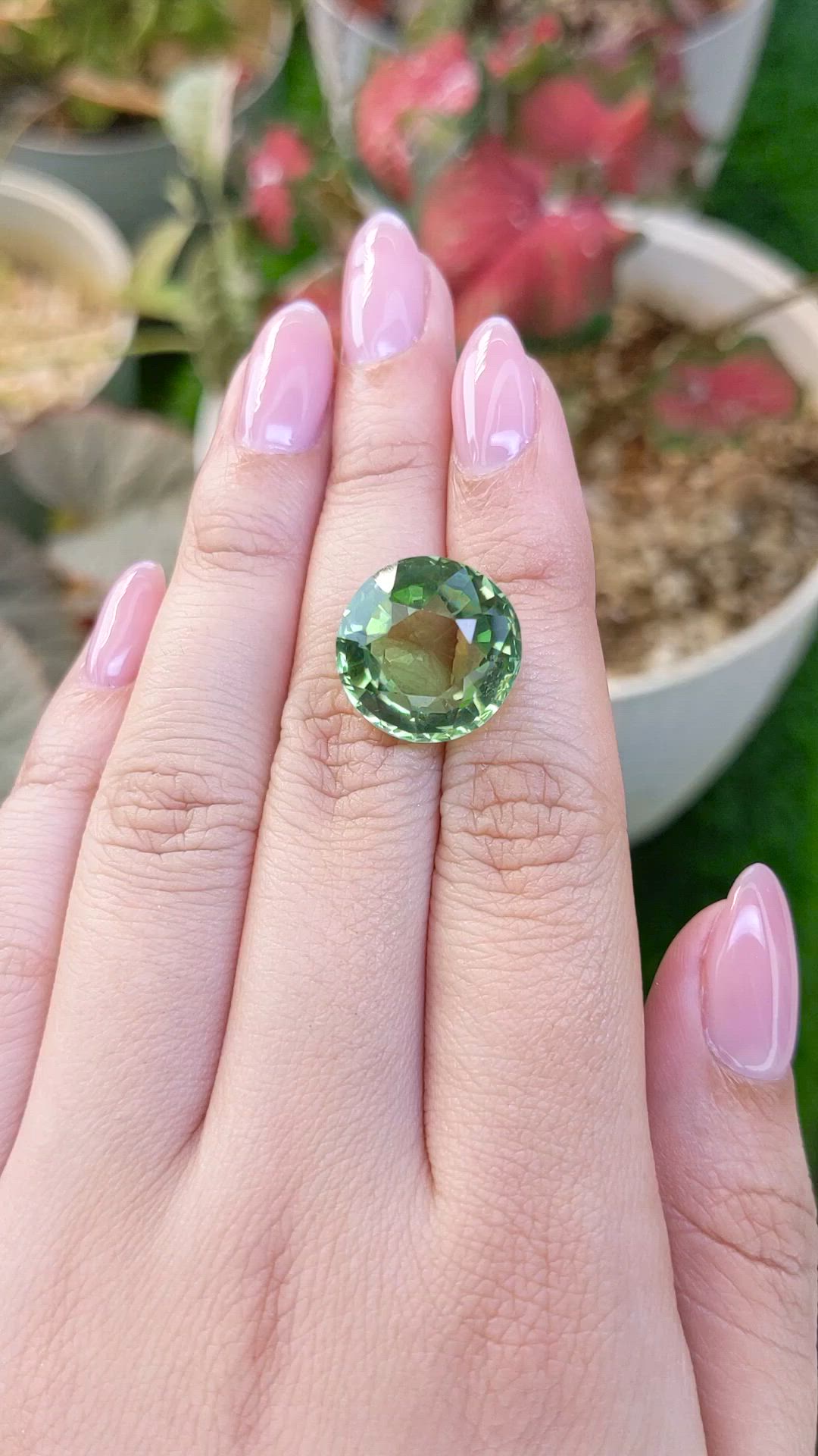 14.10 Ct. Green Prasiolite from Brazil Size Video