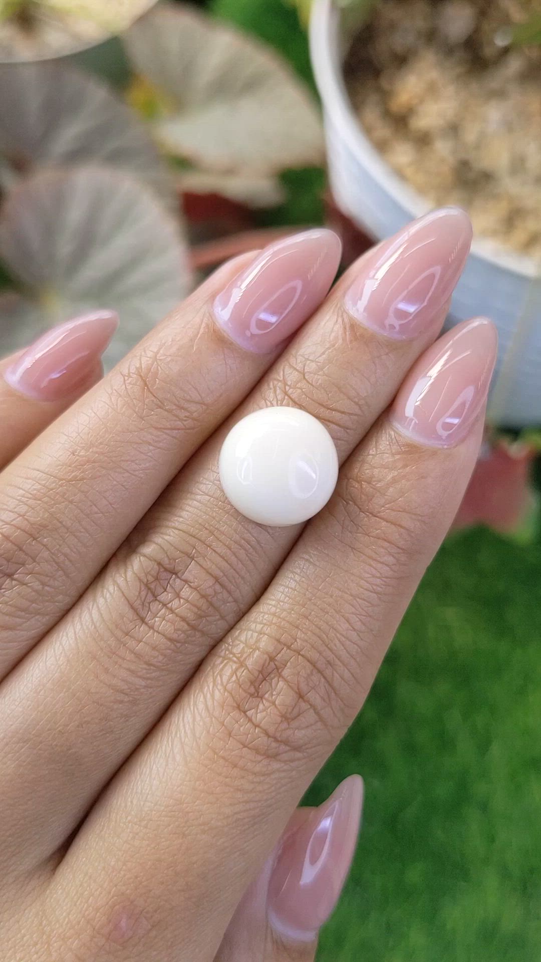 8.17 Ct. Salmon and White Cabochon Coral from Italy Size Video