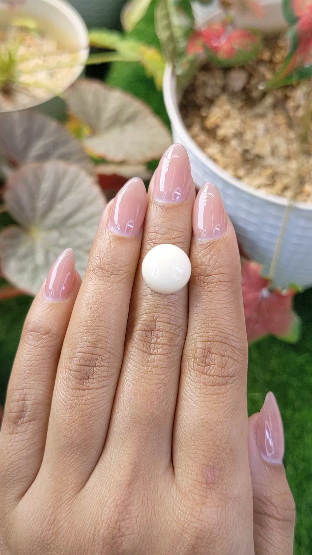 8.17 Ct. Salmon and White Cabochon Coral from Italy Size Video