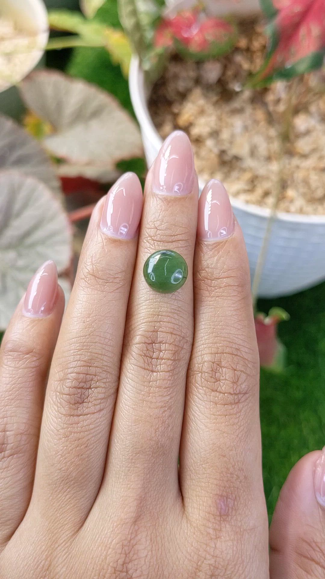 3.22 Ct. Green Cabochon Jade from Burma (Myanmar) Size Video