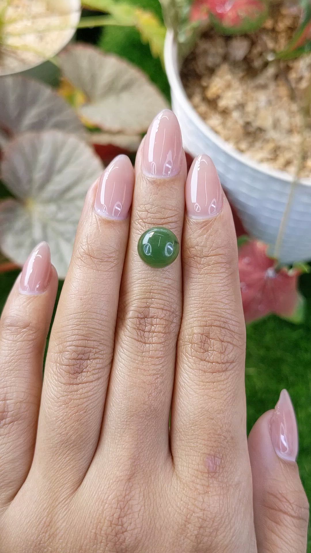 3.71 Ct. Green Cabochon Jade from Burma (Myanmar) Size Video
