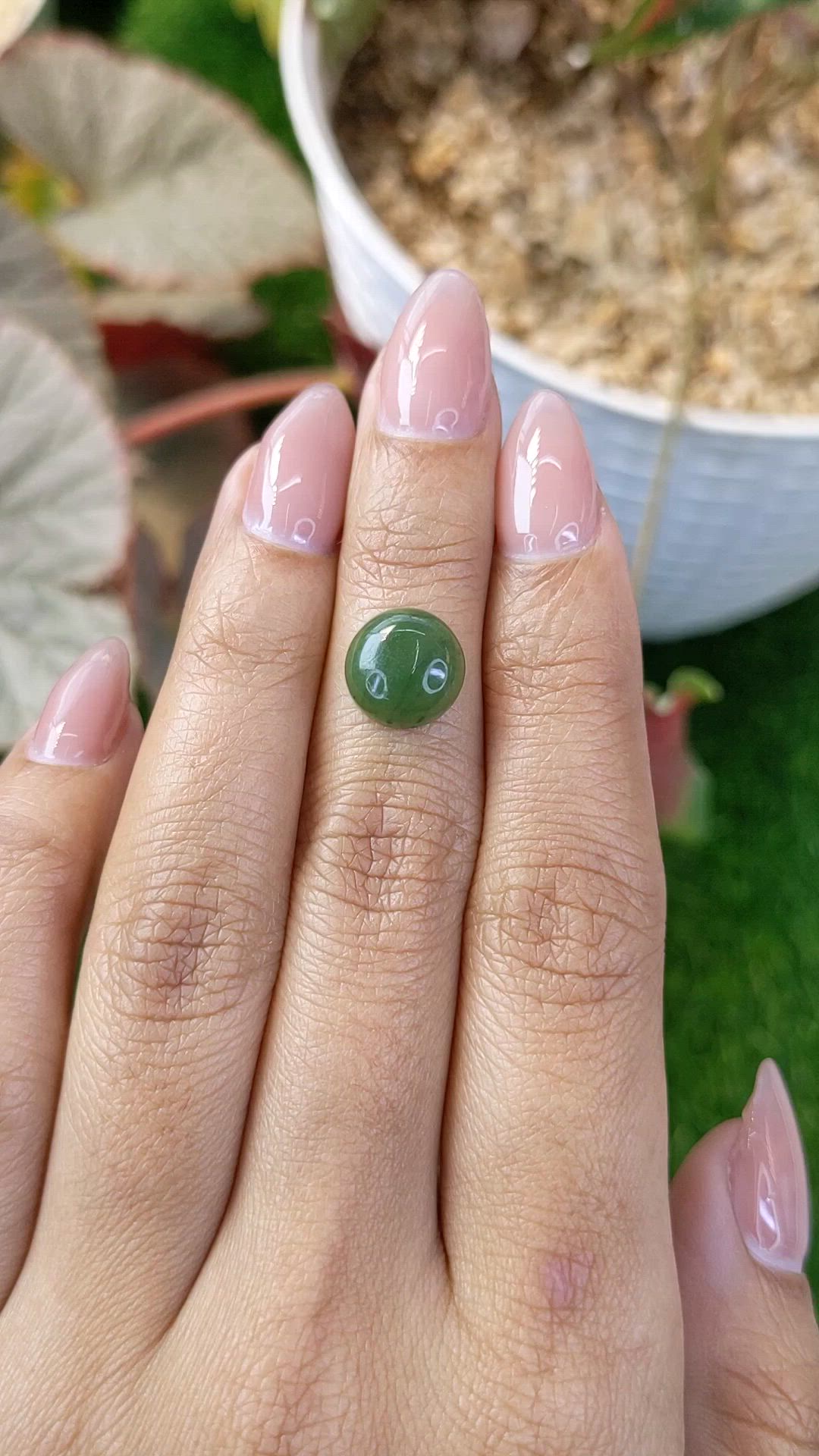 3.54 Ct. Green Cabochon Jade from Burma (Myanmar) Size Video