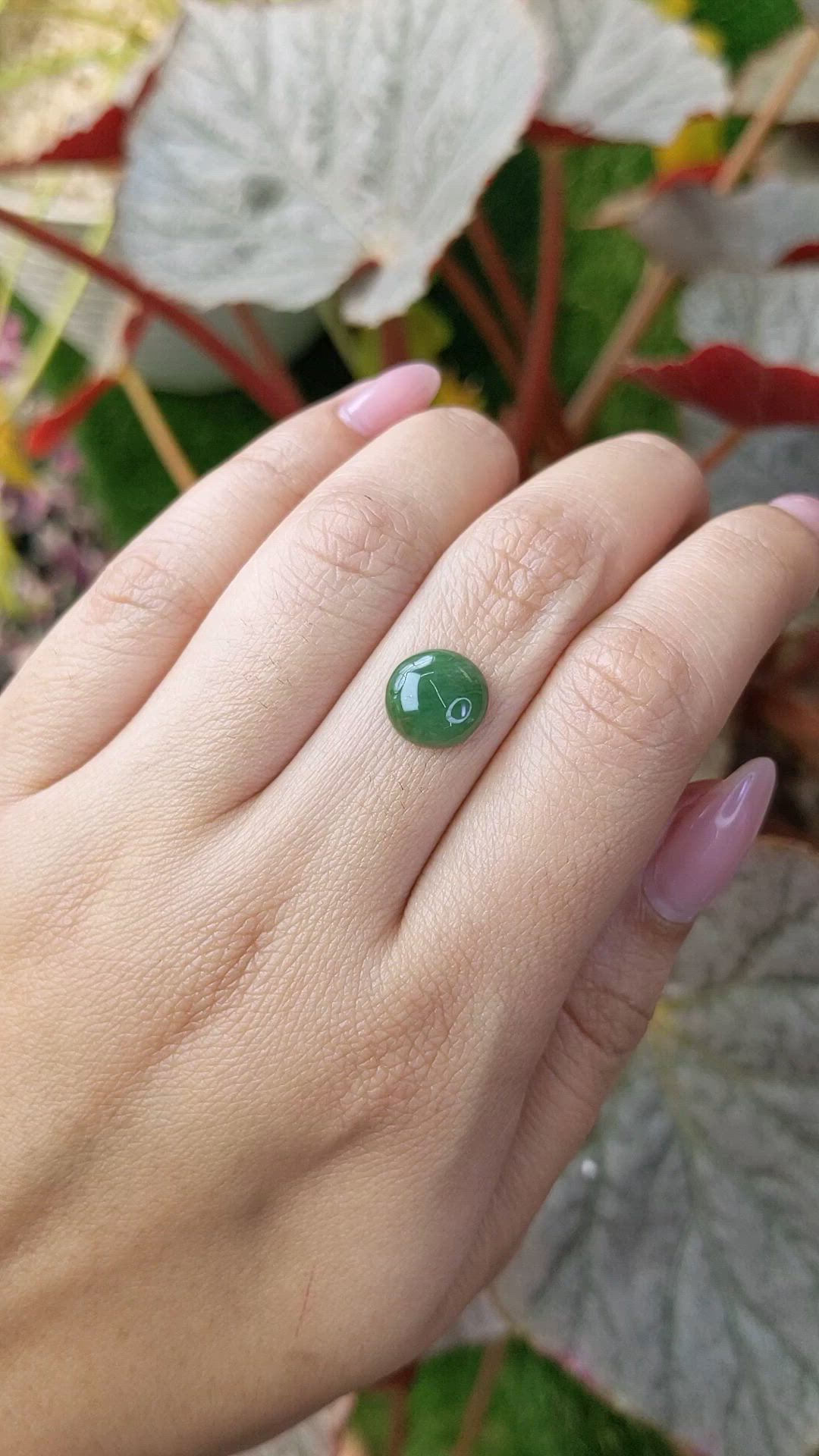2.87 Ct. Green Cabochon Jade from Burma (Myanmar) Size Video