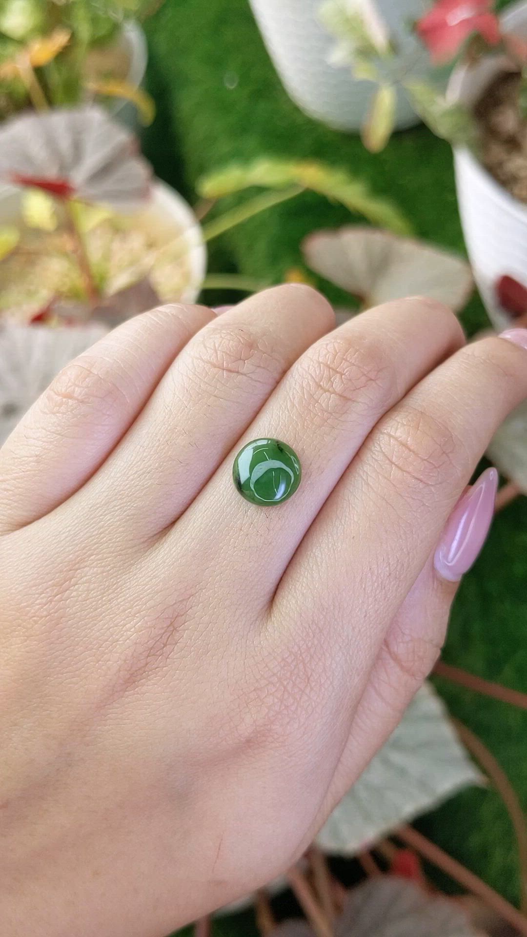 2.77 Ct. Green Cabochon Jade from Burma (Myanmar) Size Video