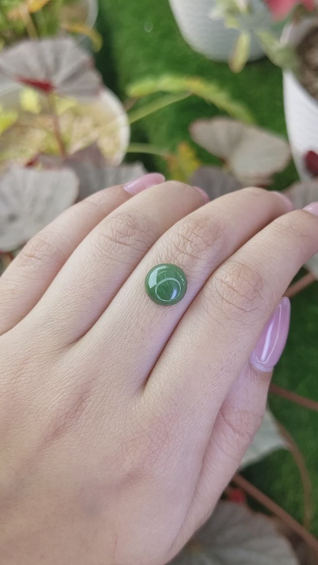 3.56 Ct. Green Cabochon Jade from Burma (Myanmar) Size Video