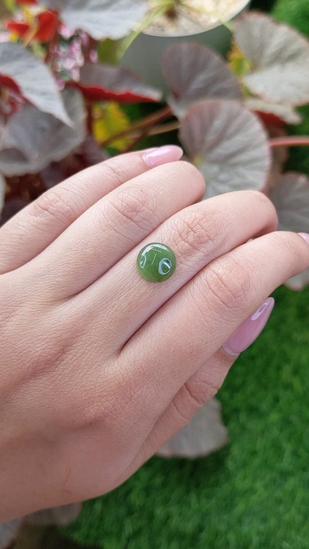 3.04 Ct. Green Cabochon Jade from Burma (Myanmar) Size Video