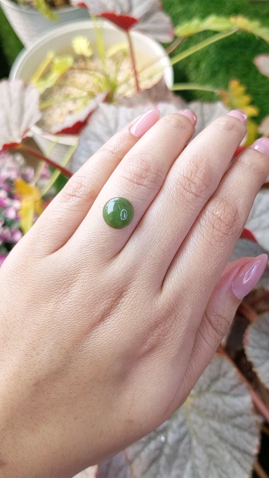 3.53 Ct. Green Cabochon Jade from Burma (Myanmar) Size Video