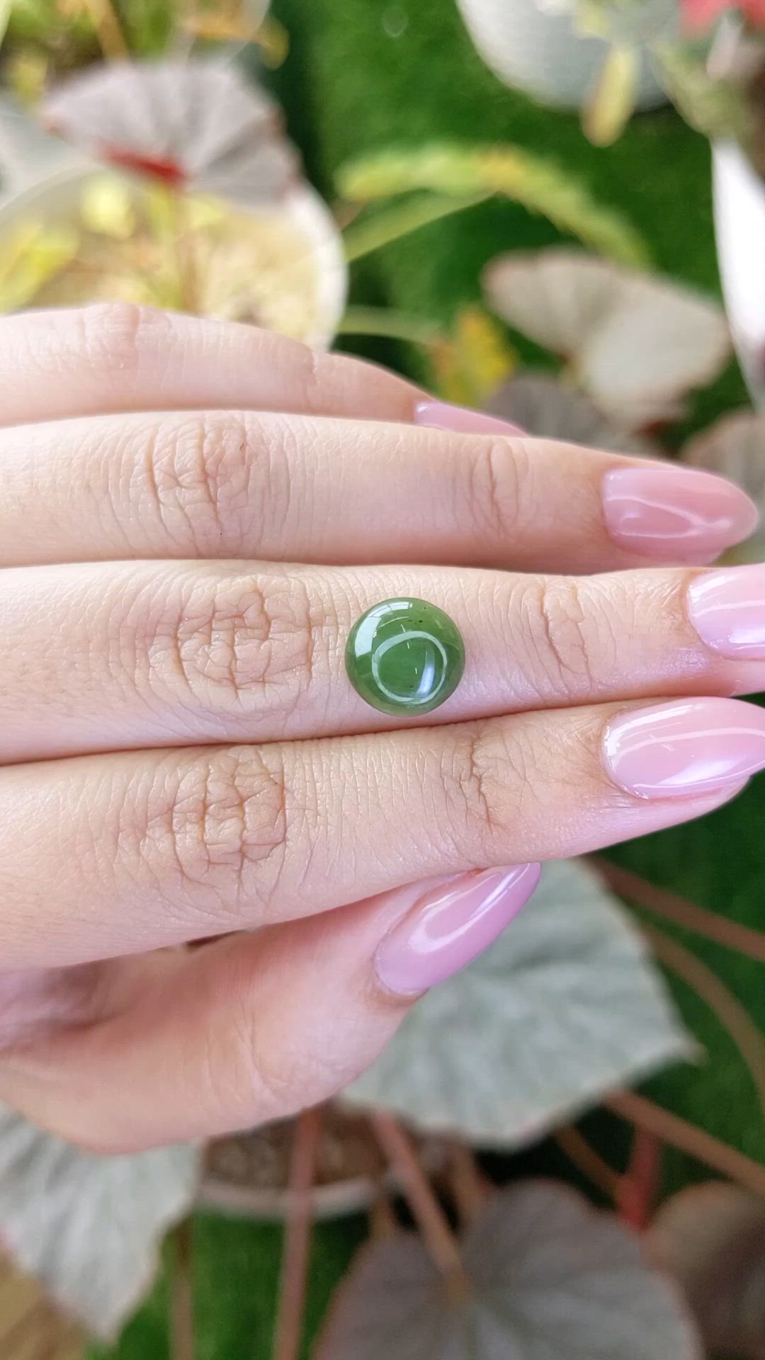 3.53 Ct. Green Cabochon Jade from Burma (Myanmar) Size Video