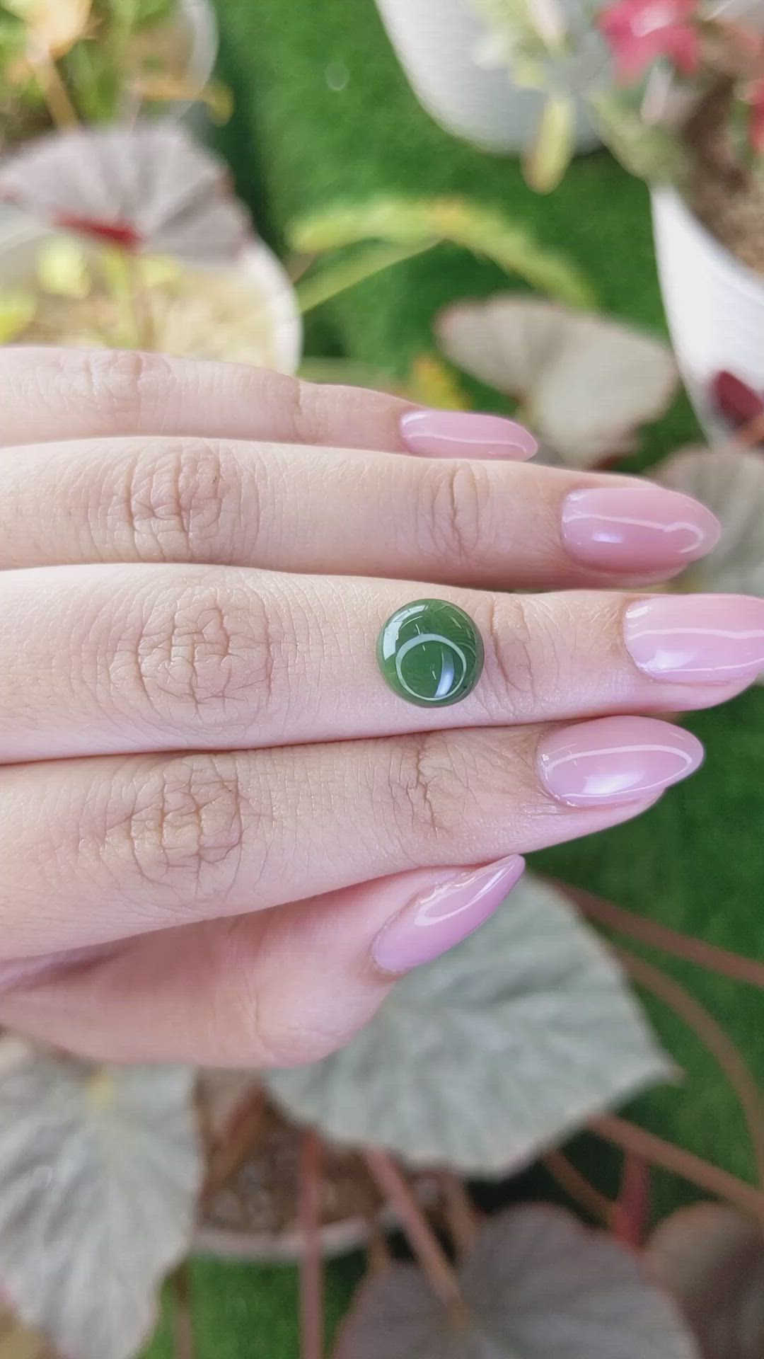 3.38 Ct. Green Cabochon Jade from Burma (Myanmar) Size Video