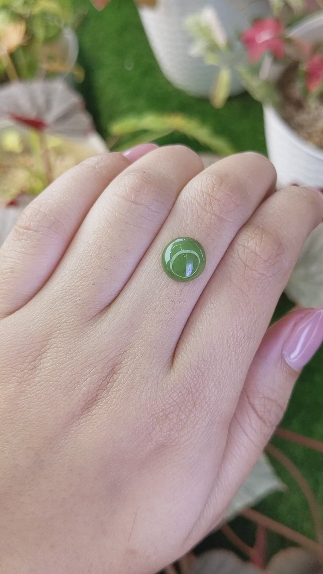 3.63 Ct. Green Cabochon Jade from Burma (Myanmar) Size Video