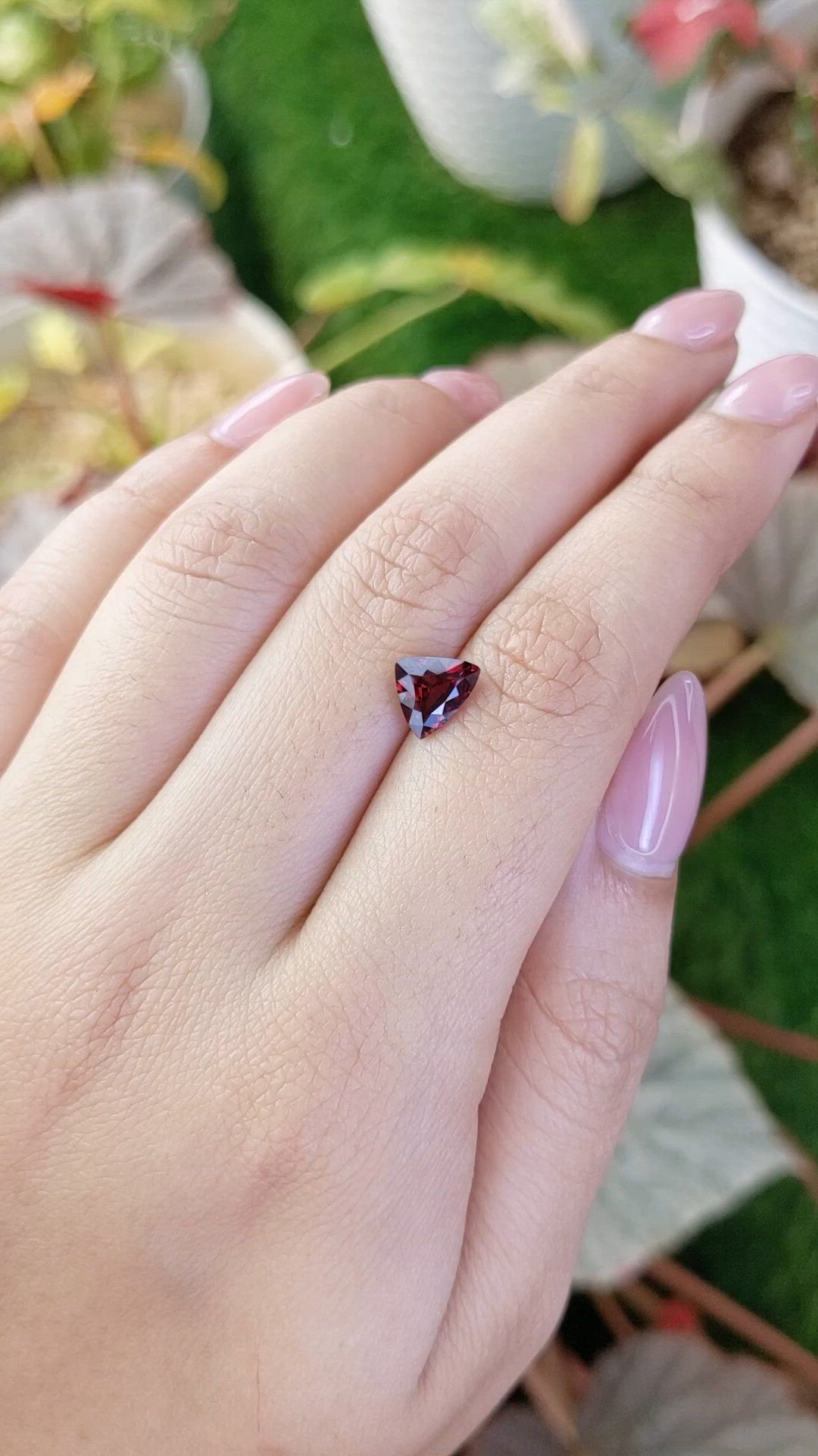 1.52 Ct. Purplish Red Rhodolite Garnet from Ceylon (Sri Lanka) Size Video
