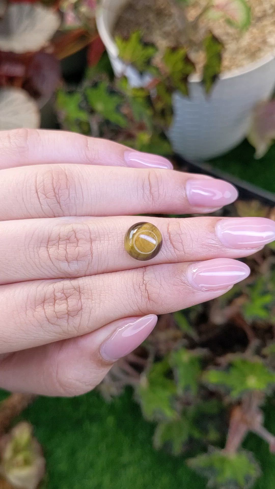 4.24 Ct. Cabochon Tiger's Eye from South Africa Size Video